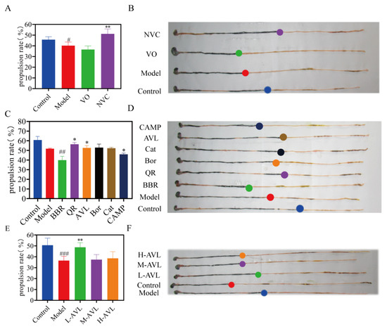 Efficacy and Molecular Mechanism of Quercetin on
