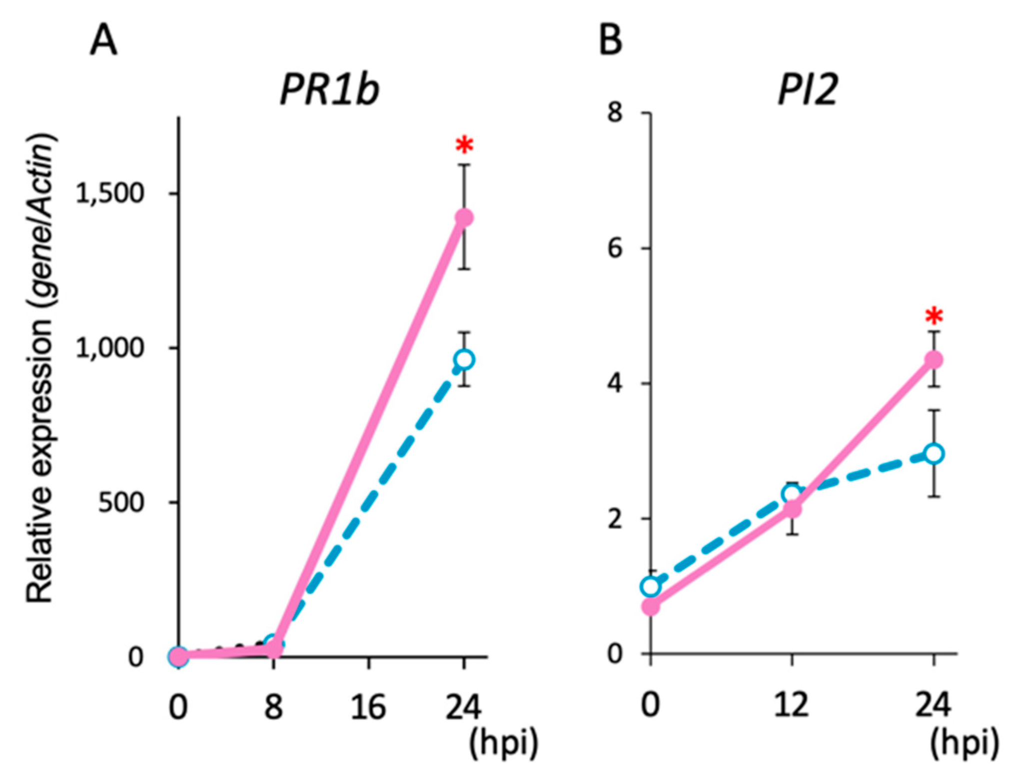 Ijms 25 06315 g003 Ijms 25 06315 g003