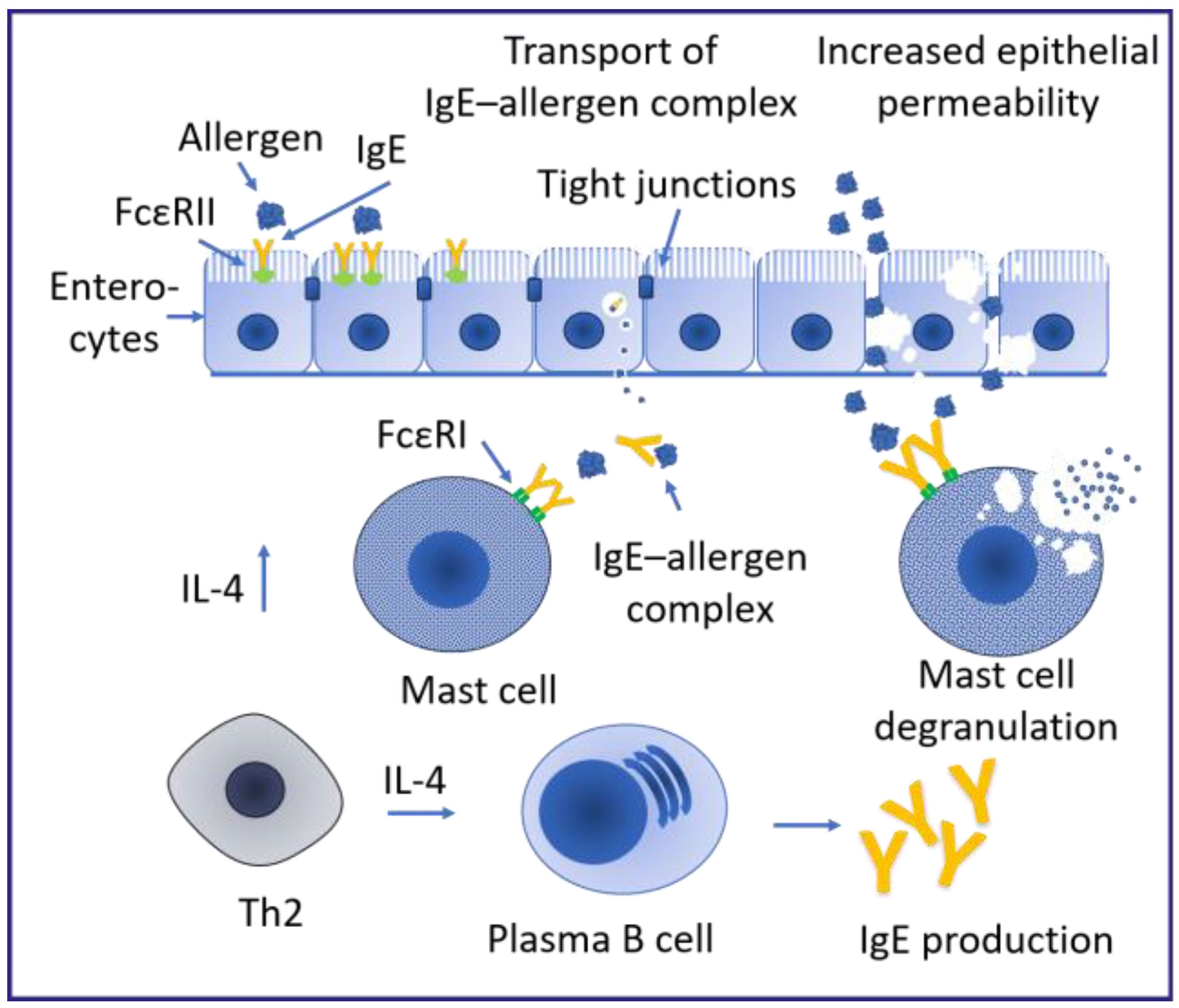 Ijms 25 06359 g002 Ijms 25 06359 g002