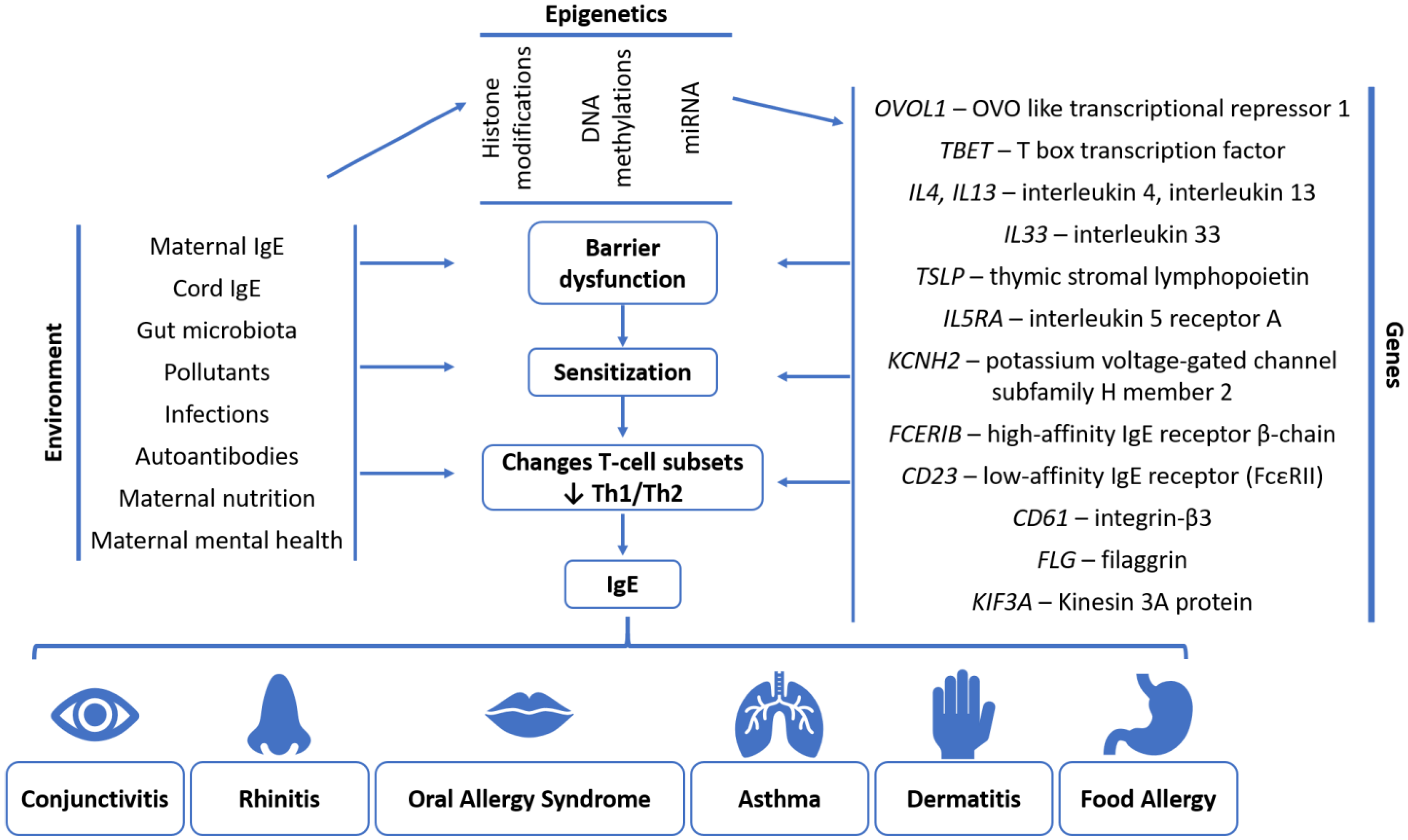 Ijms 25 06359 g005 Ijms 25 06359 g005