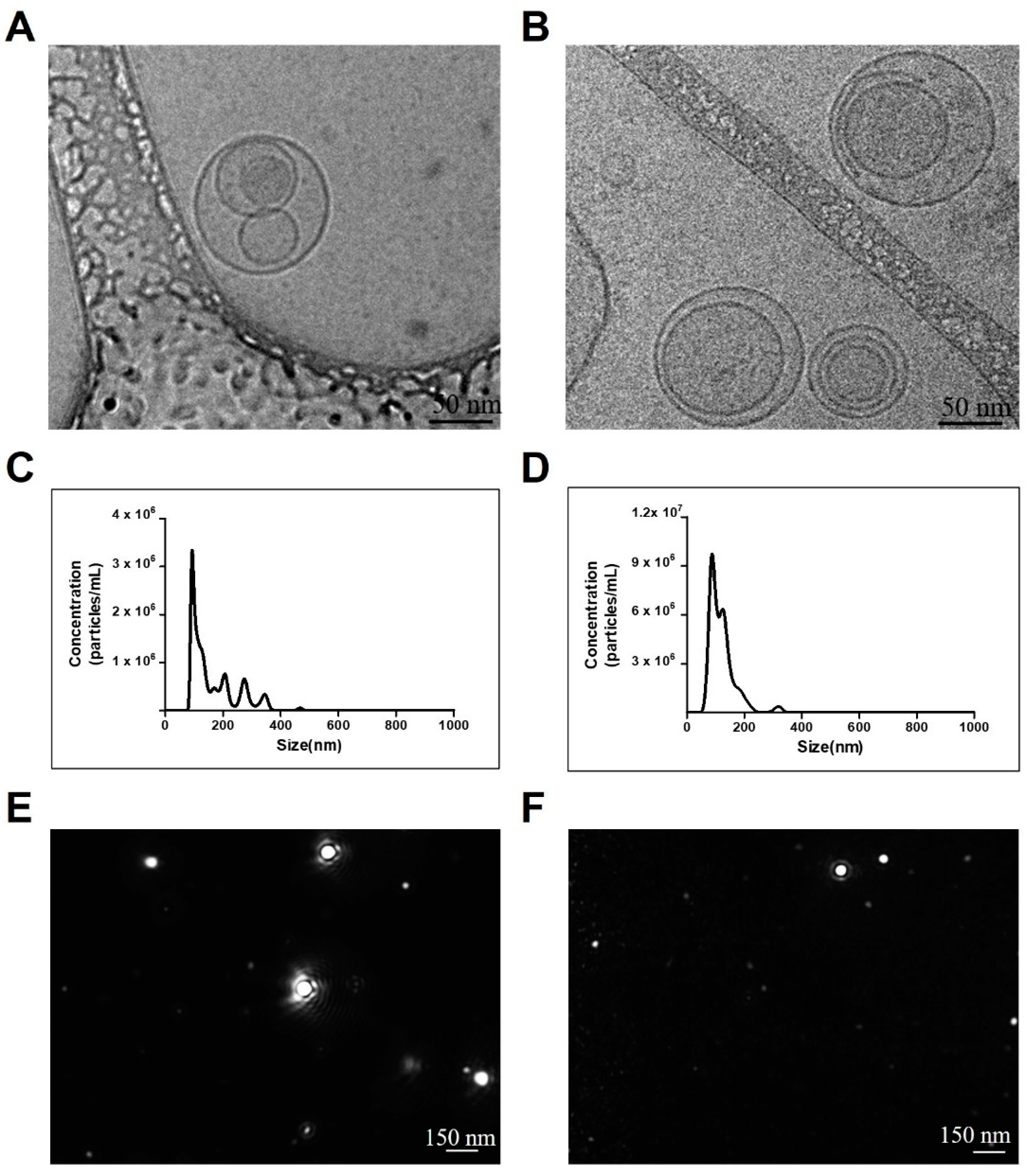 The Therapeutic Effects of Blueberry-Treated Stem Cell The Therapeutic Effects of Blueberry-Treated Stem Cell