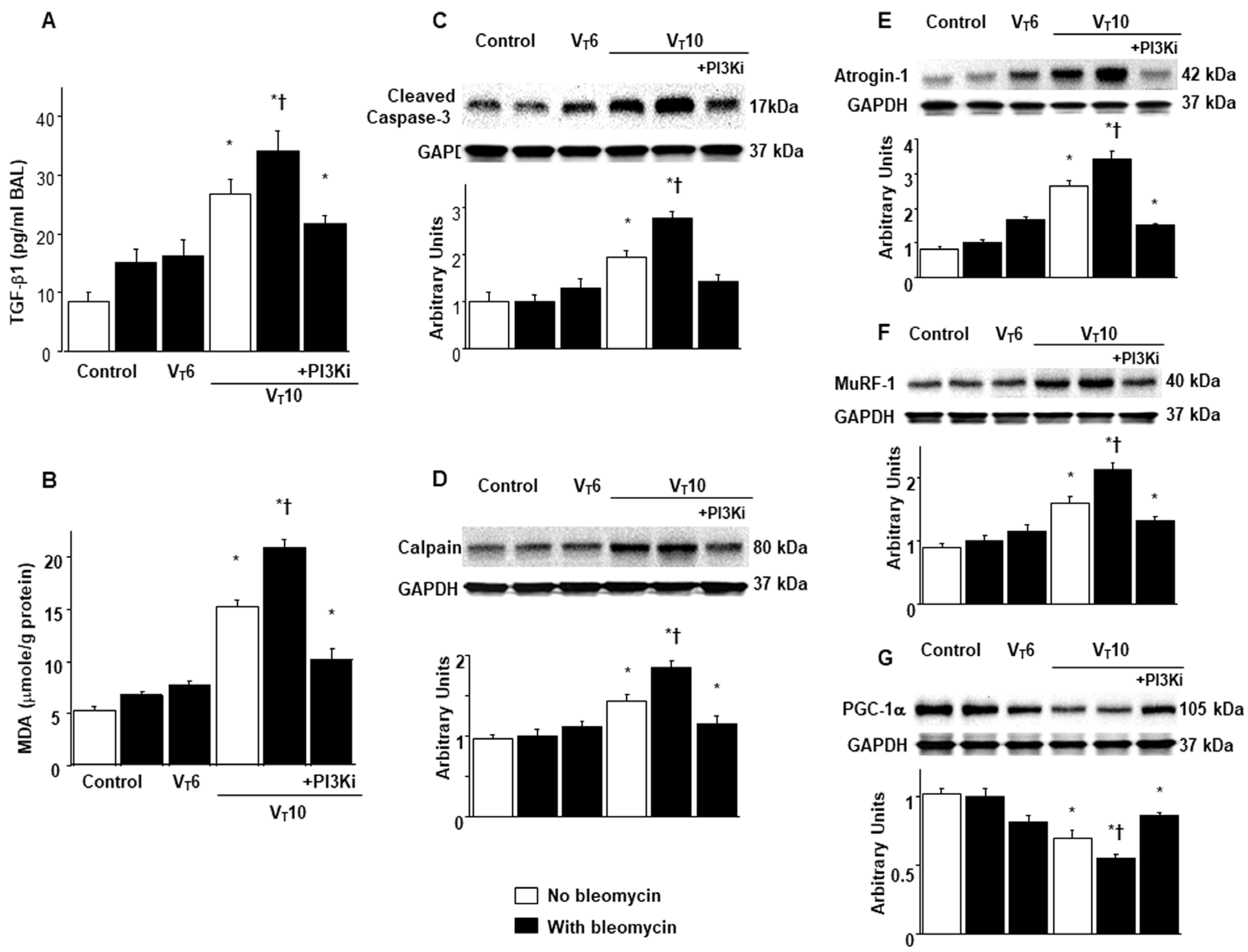 Ijms 25 06370 g002 Ijms 25 06370 g002