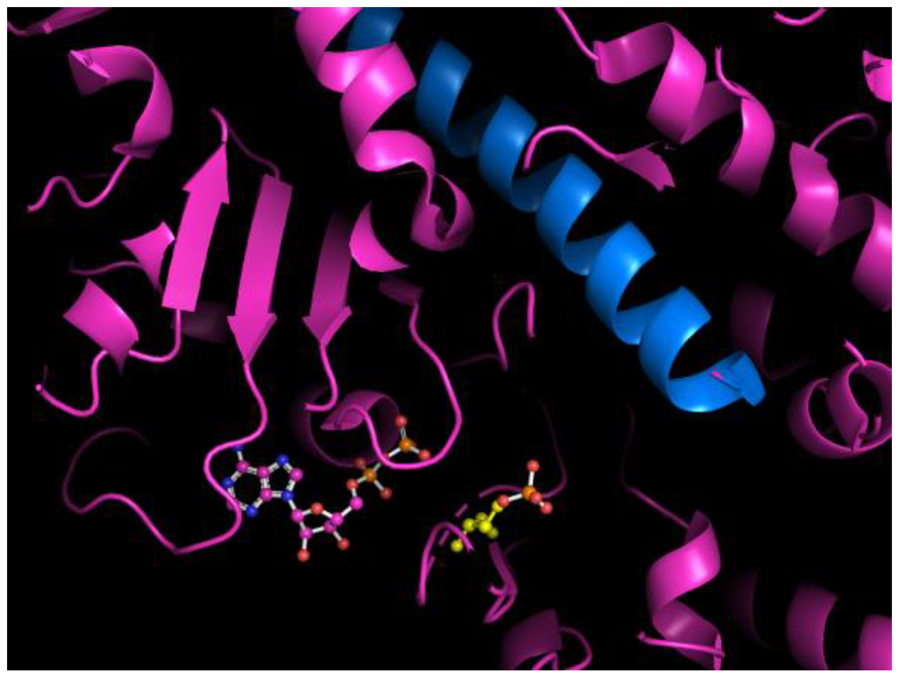 Ijms 25 06406 g001 Ijms 25 06406 g001