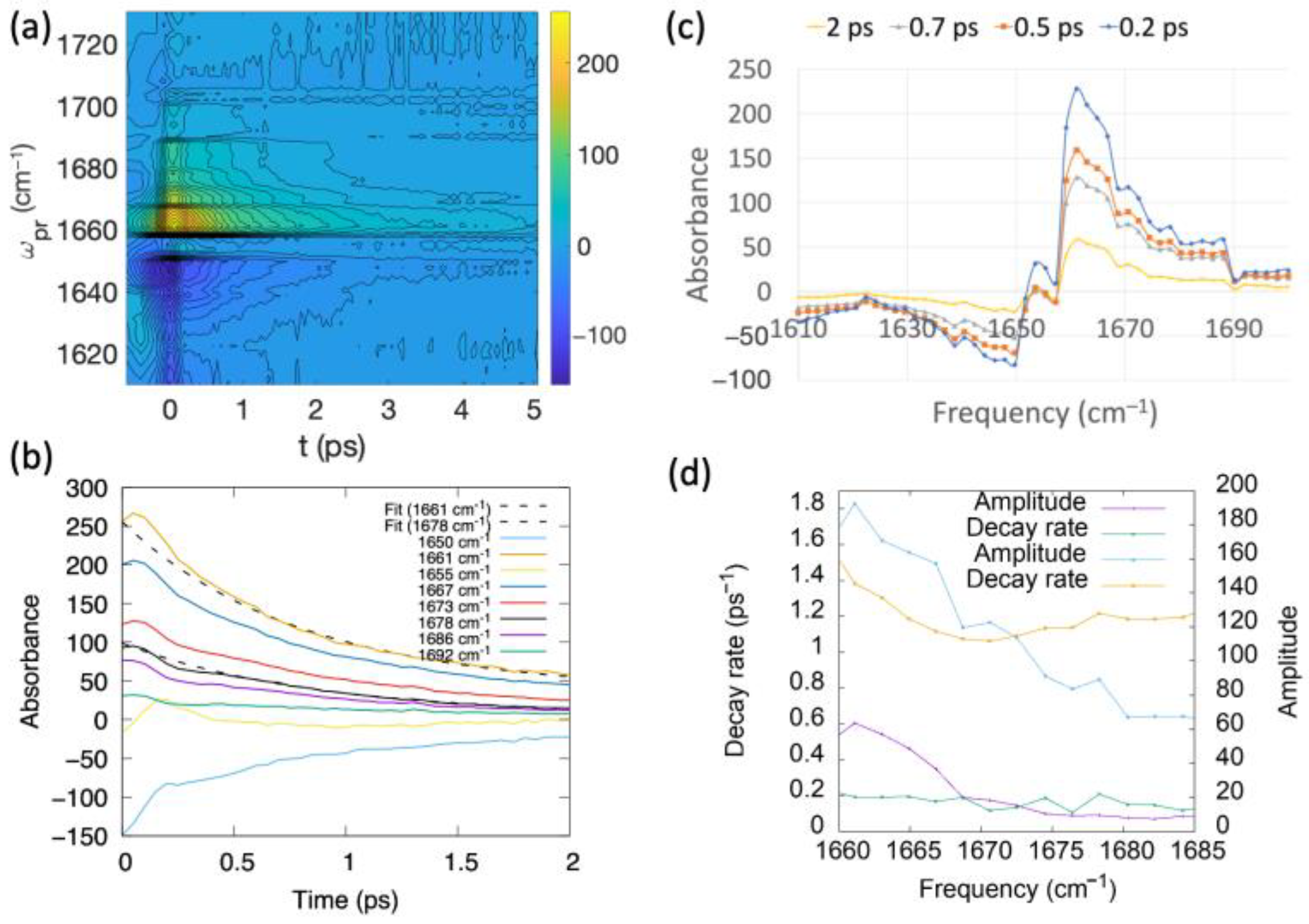 Ijms 25 06406 g010 Ijms 25 06406 g010