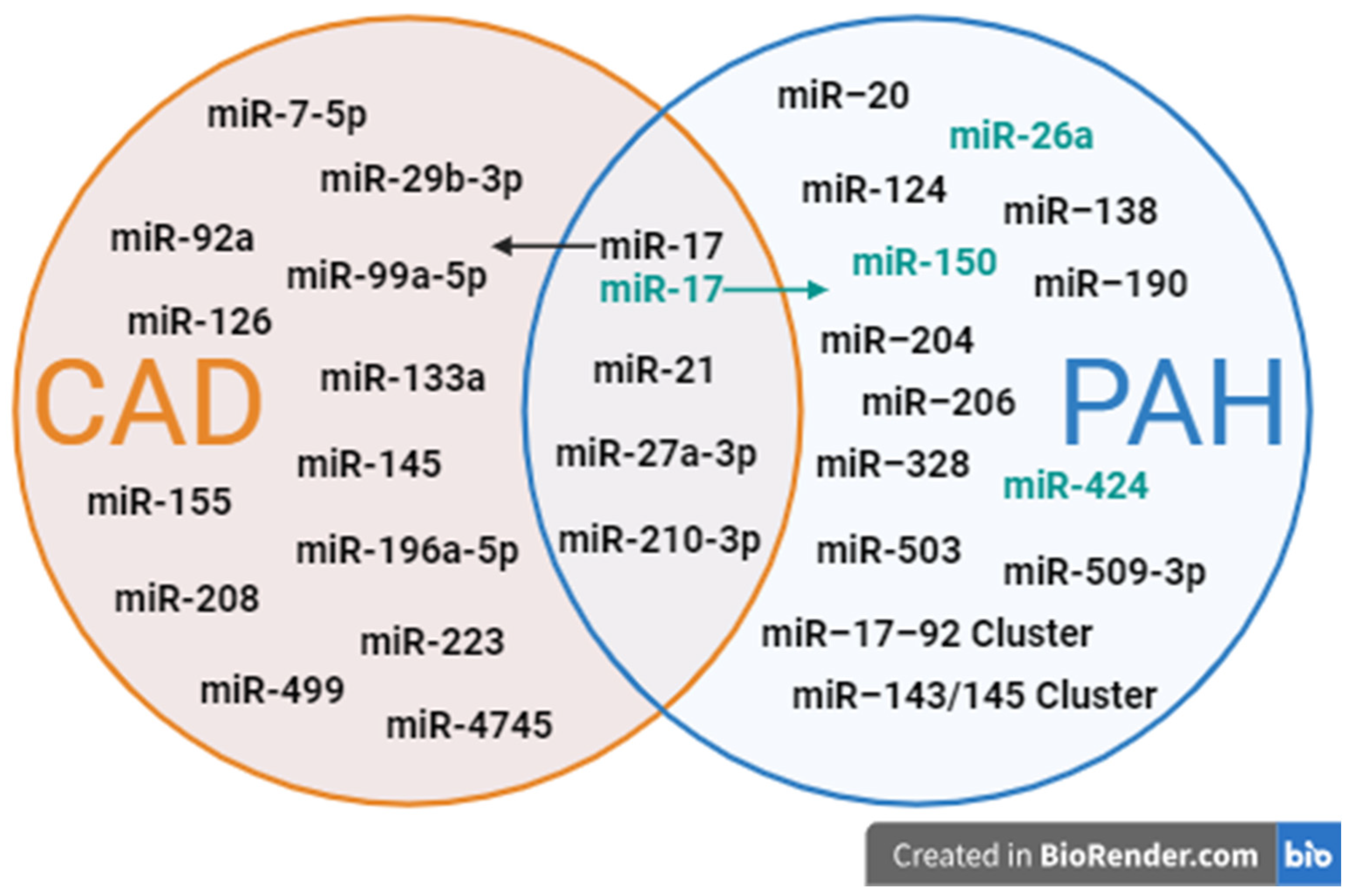 Ijms 25 06430 g002 Ijms 25 06430 g002