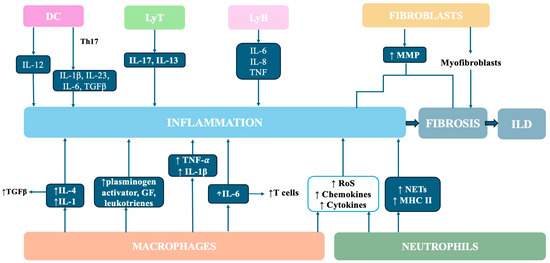 The Lung in Rheumatoid Arthritis—Friend or Enemy?