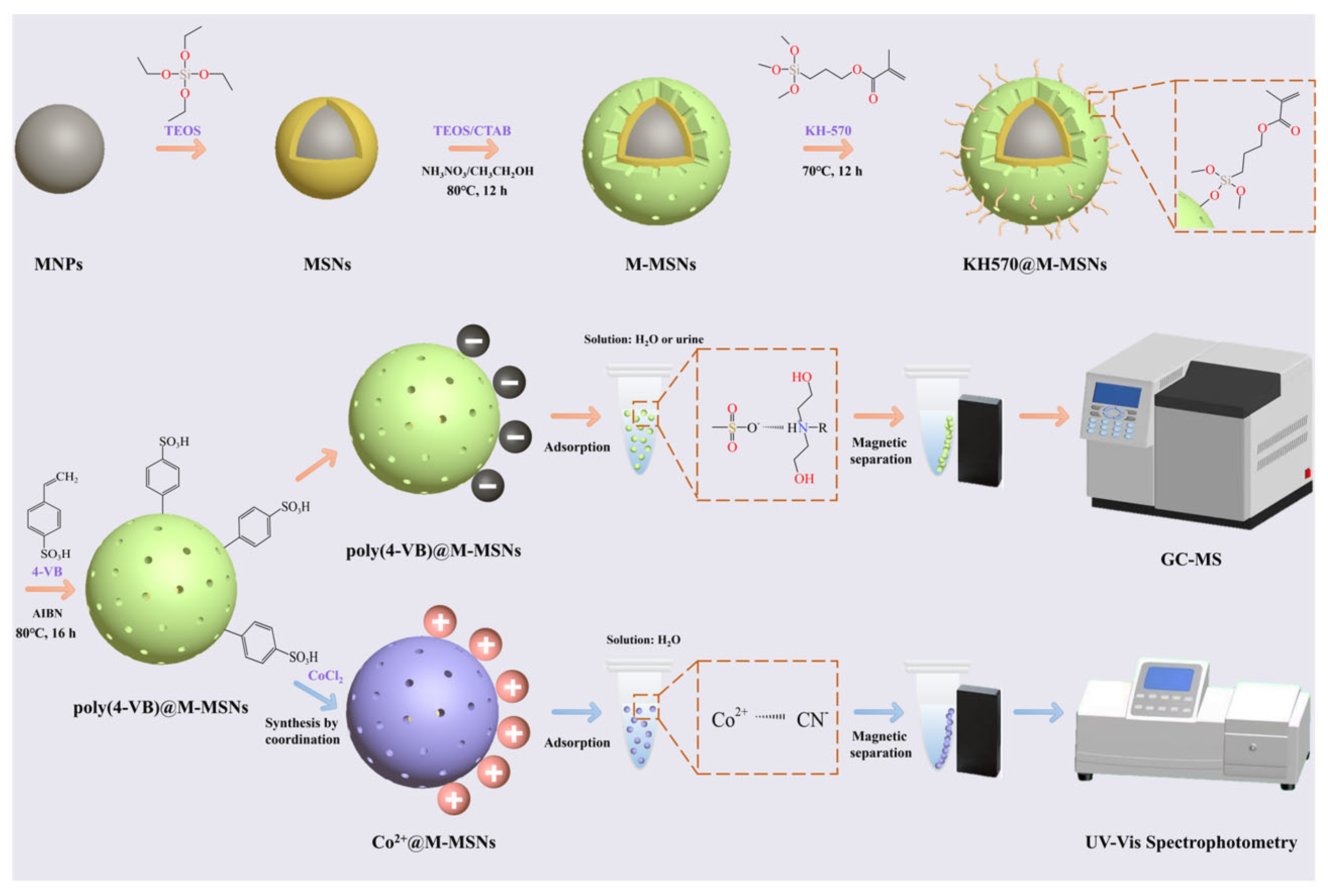 Ijms 25 06470 sch001