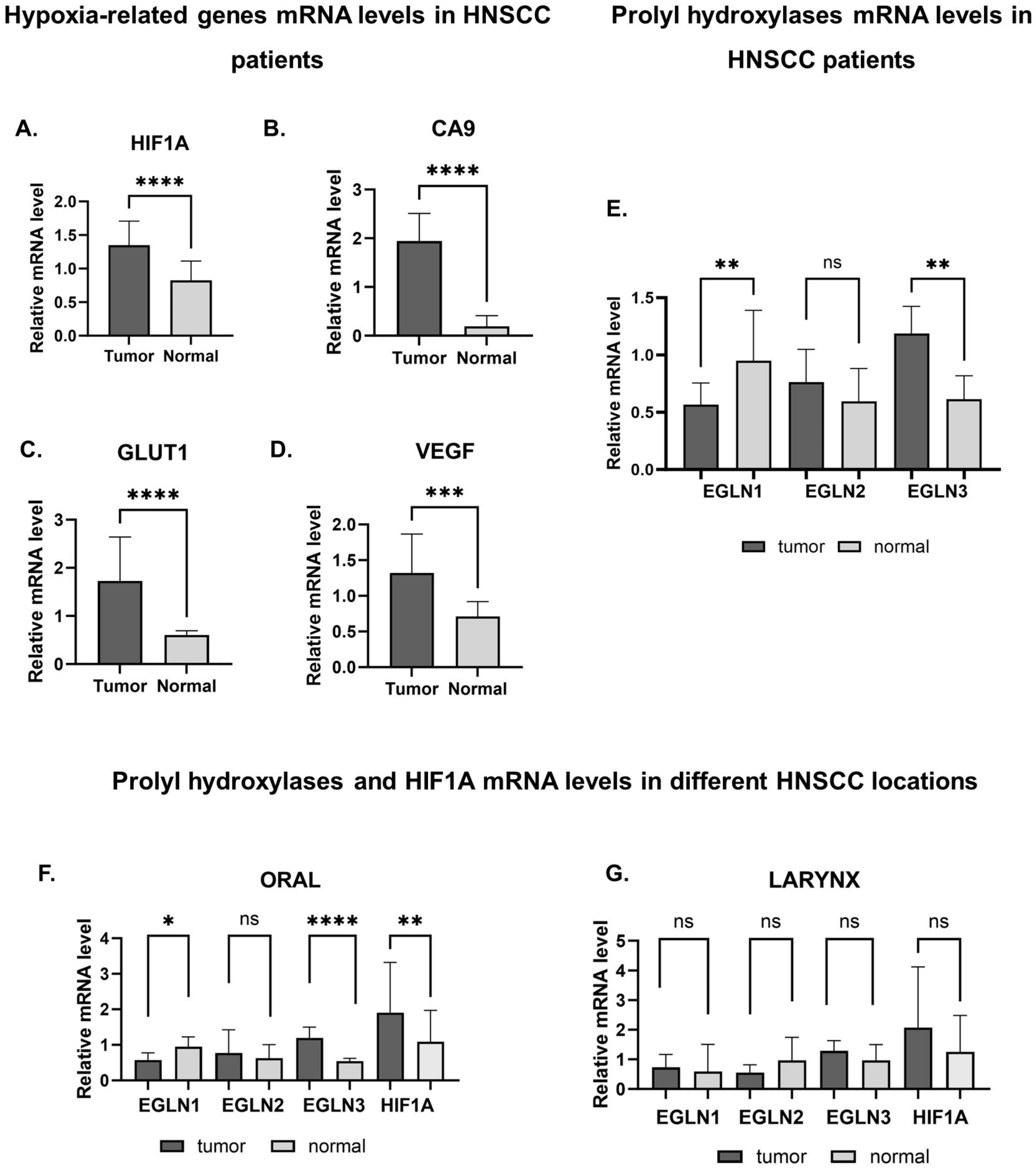 Ijms 25 06495 g002 Ijms 25 06495 g002