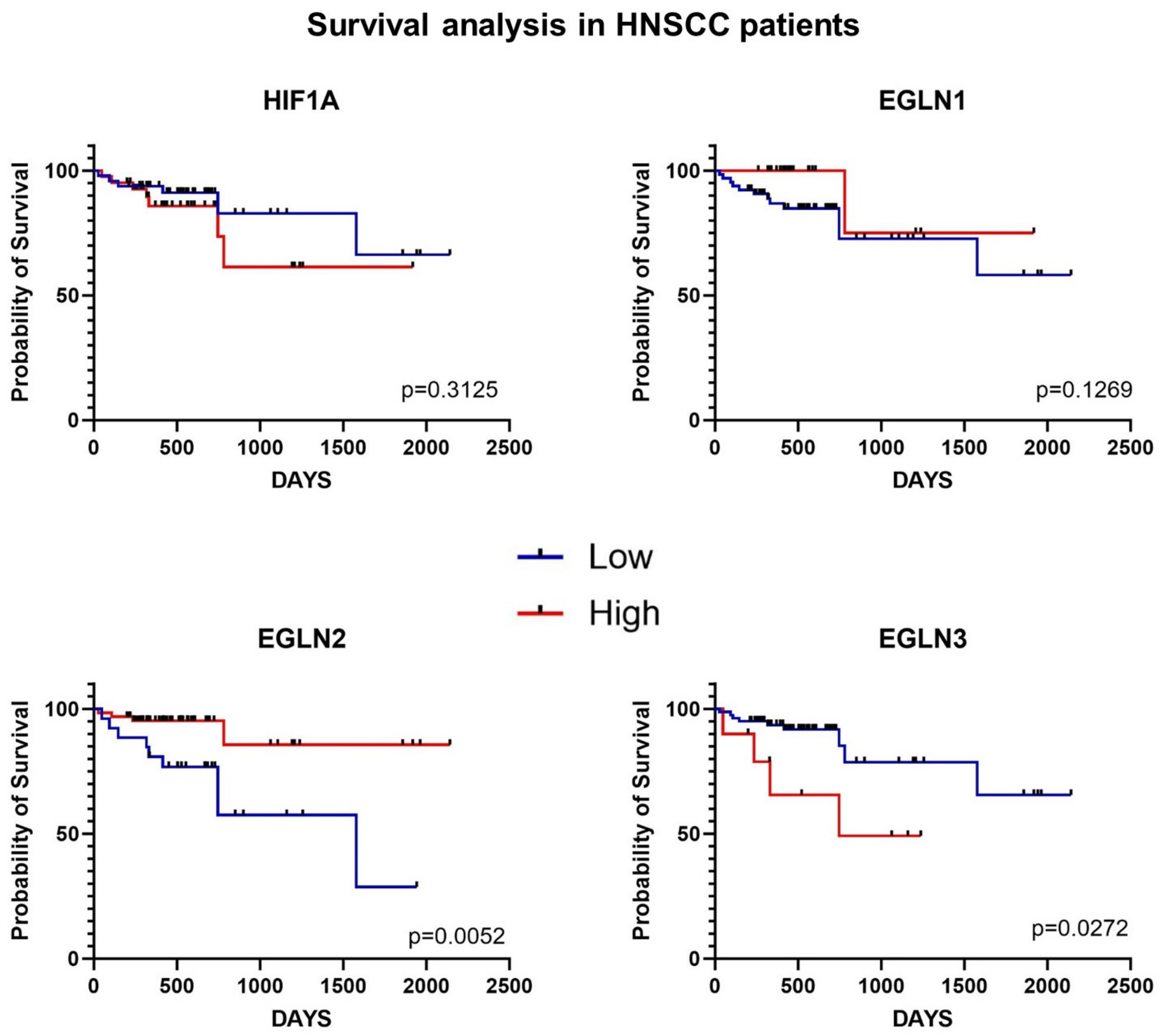 Ijms 25 06495 g004 Ijms 25 06495 g004