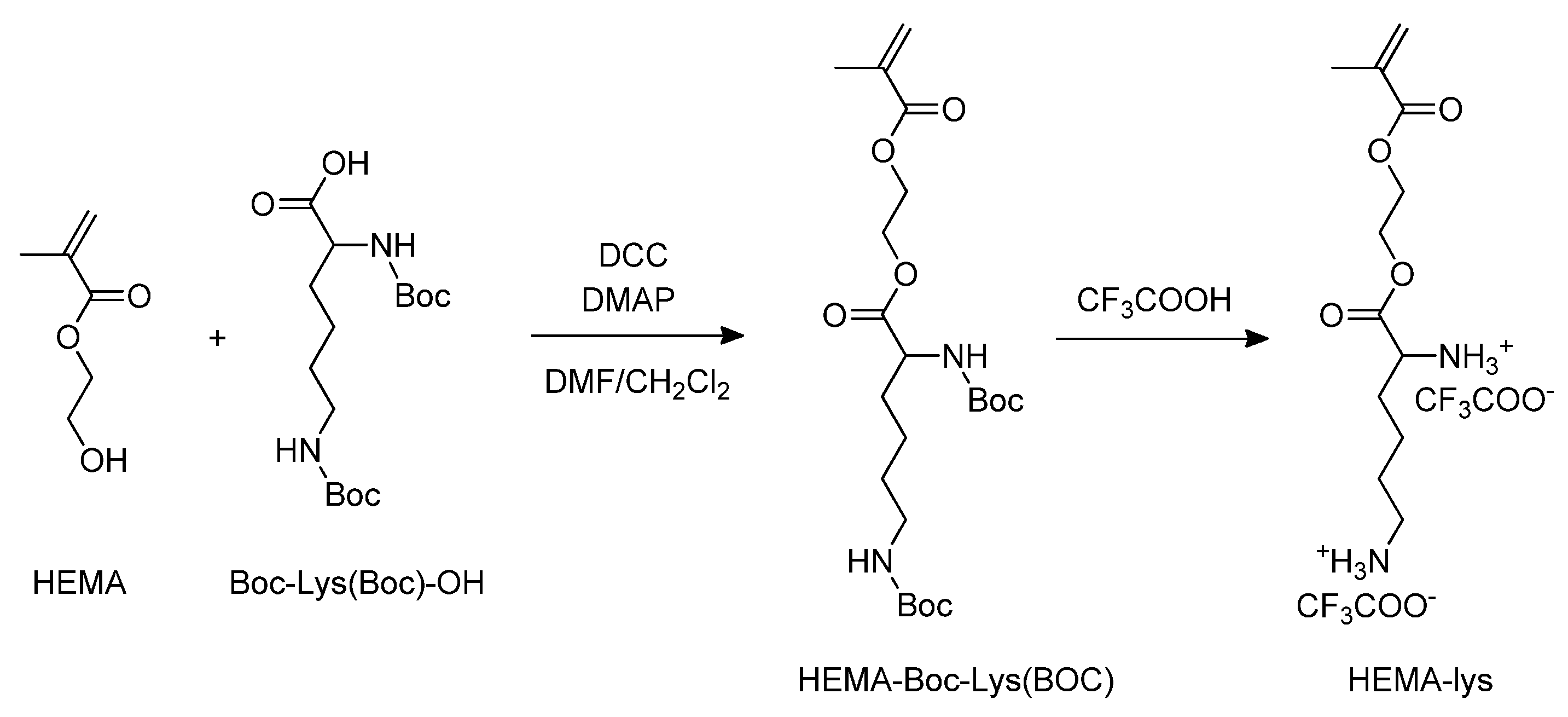 Ijms 25 06503 sch001