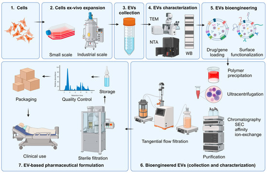 Extracellular Vesicles as Next-Generation Diagnostics and