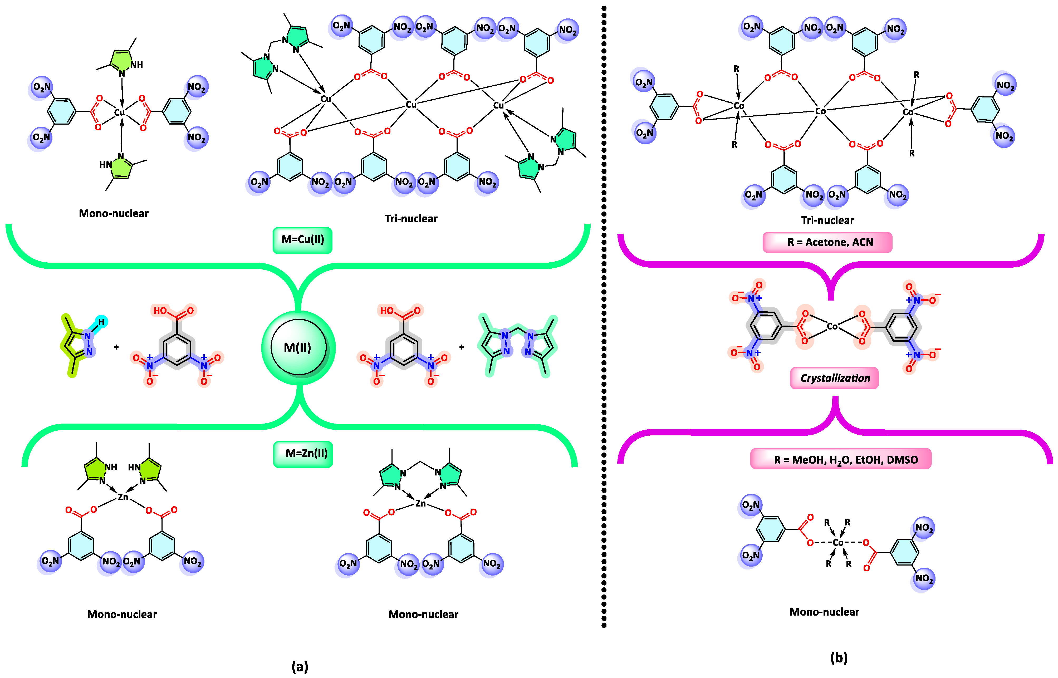 Ijms 25 06536 g012 Ijms 25 06536 g012