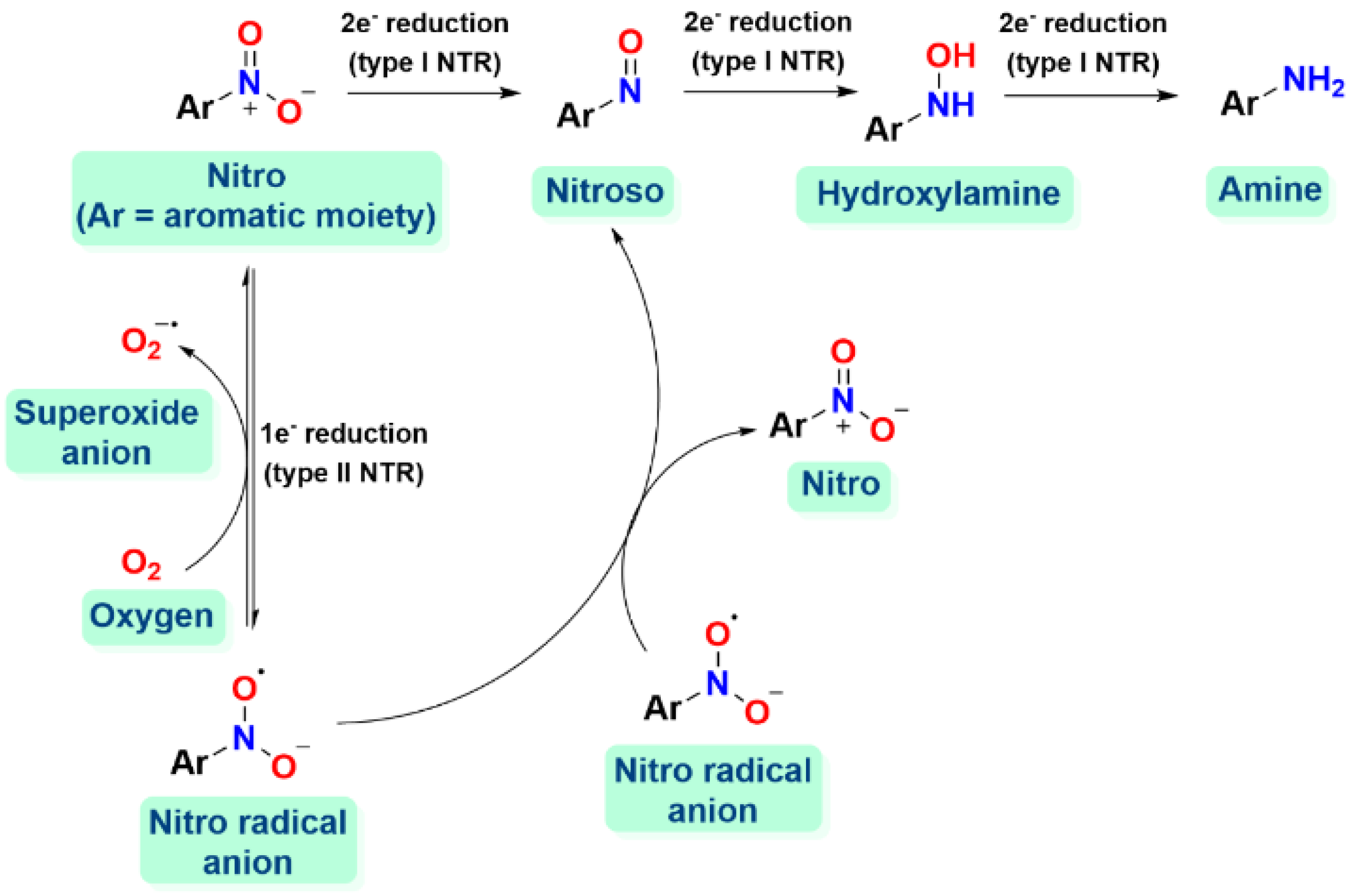 Ijms 25 06536 sch001 Ijms 25 06536 sch001