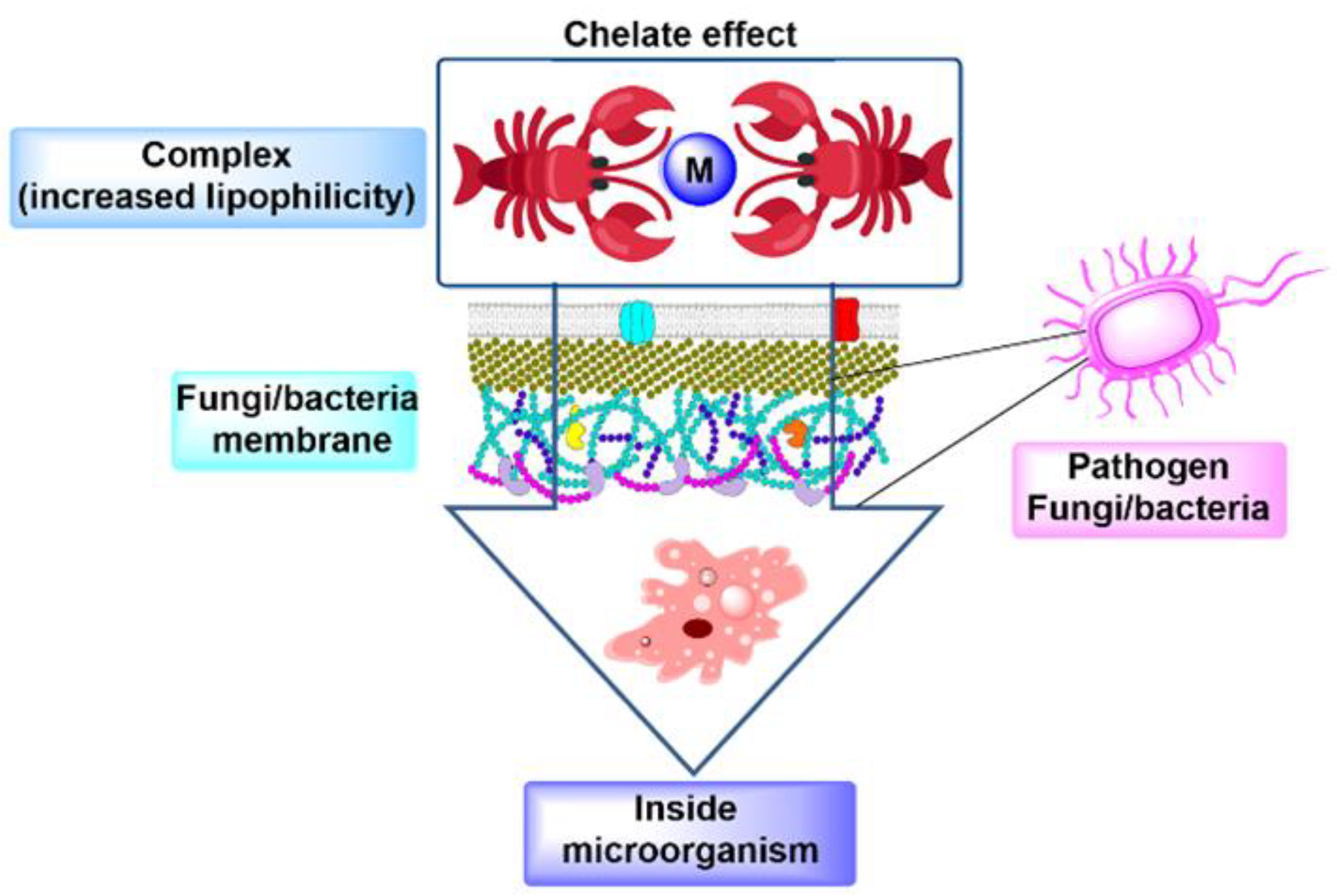 Ijms 25 06536 sch002 Ijms 25 06536 sch002