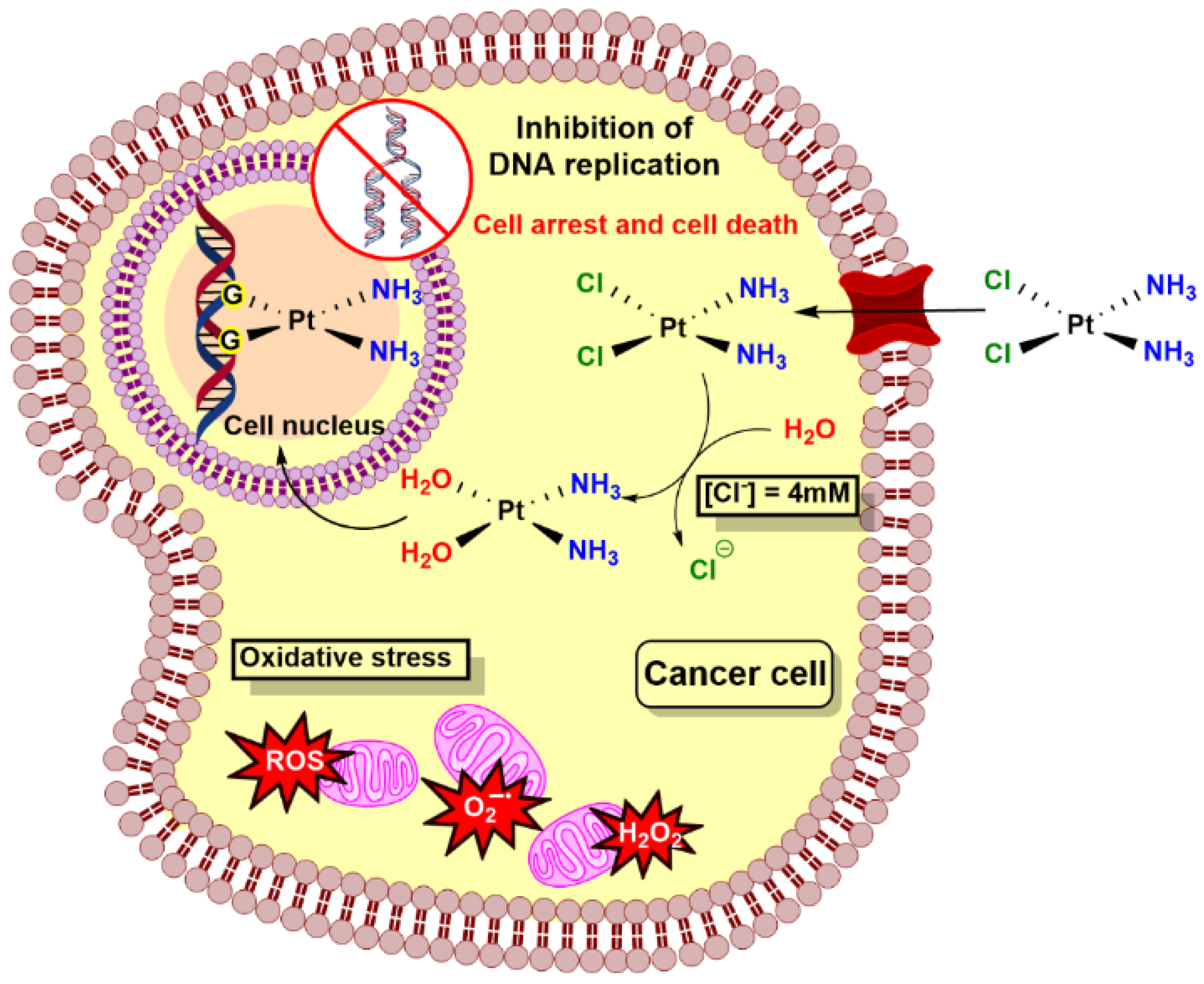Ijms 25 06536 sch003 Ijms 25 06536 sch003