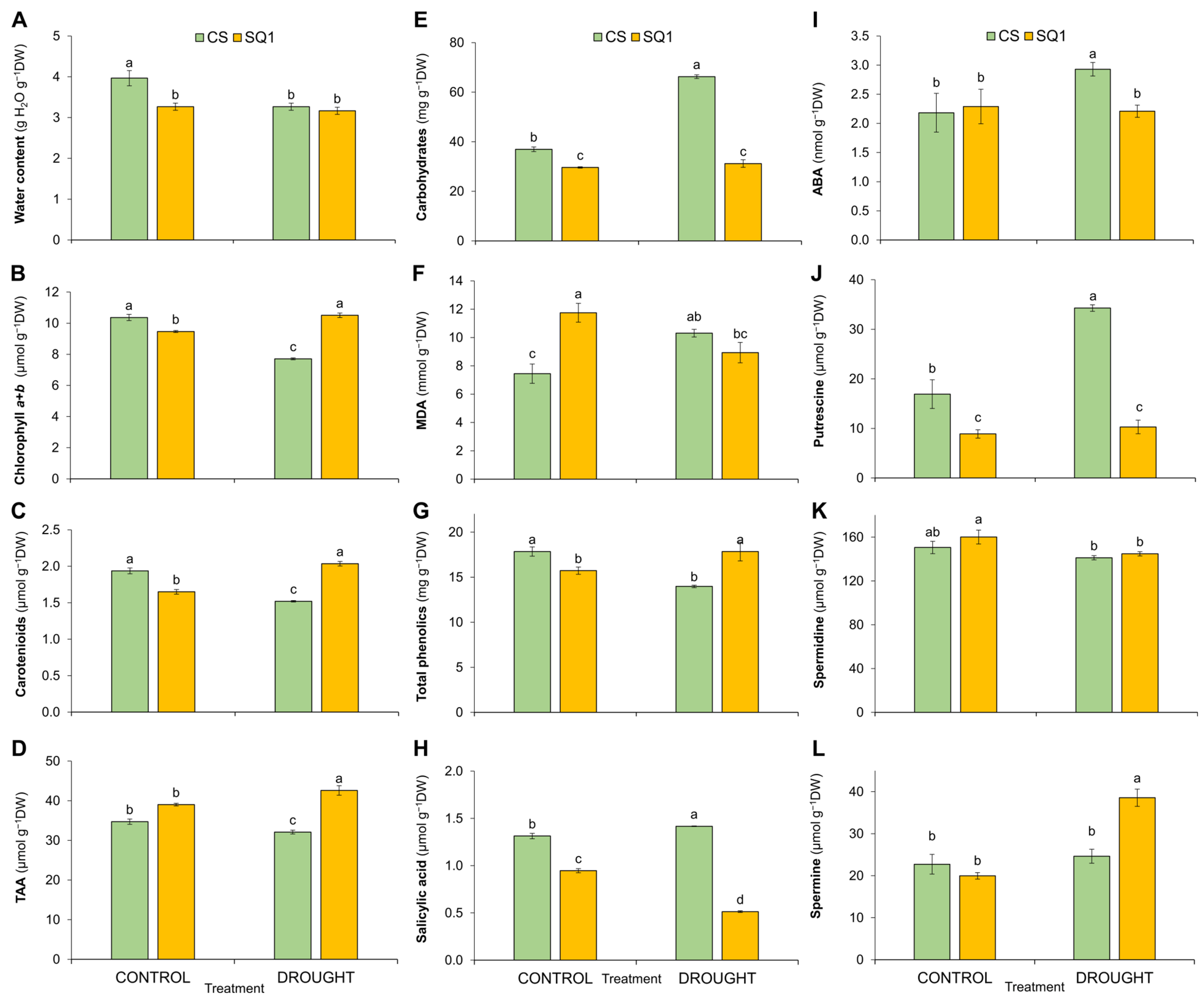 Ijms 25 06573 g002 Ijms 25 06573 g002