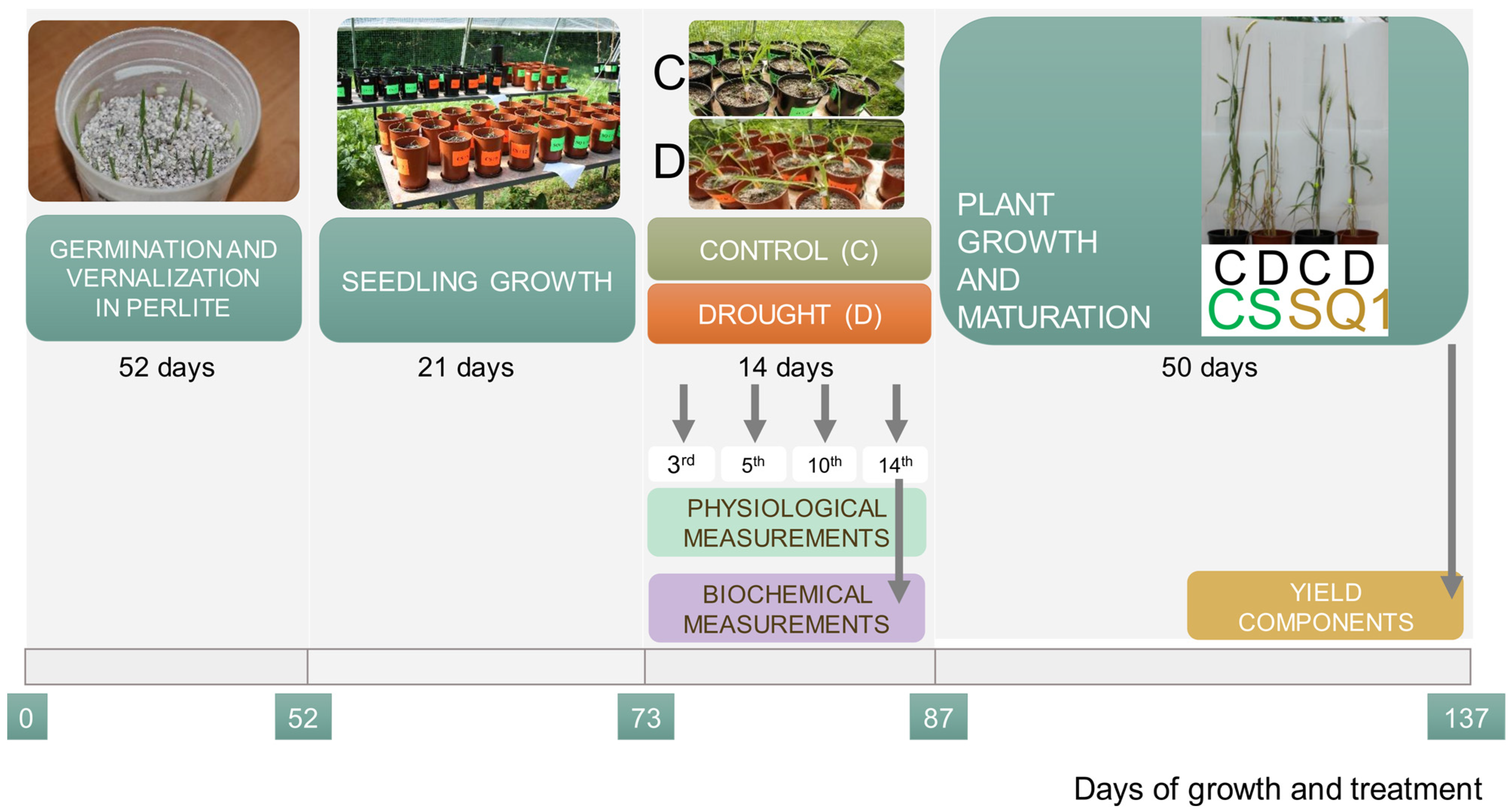 Ijms 25 06573 g005 Ijms 25 06573 g005