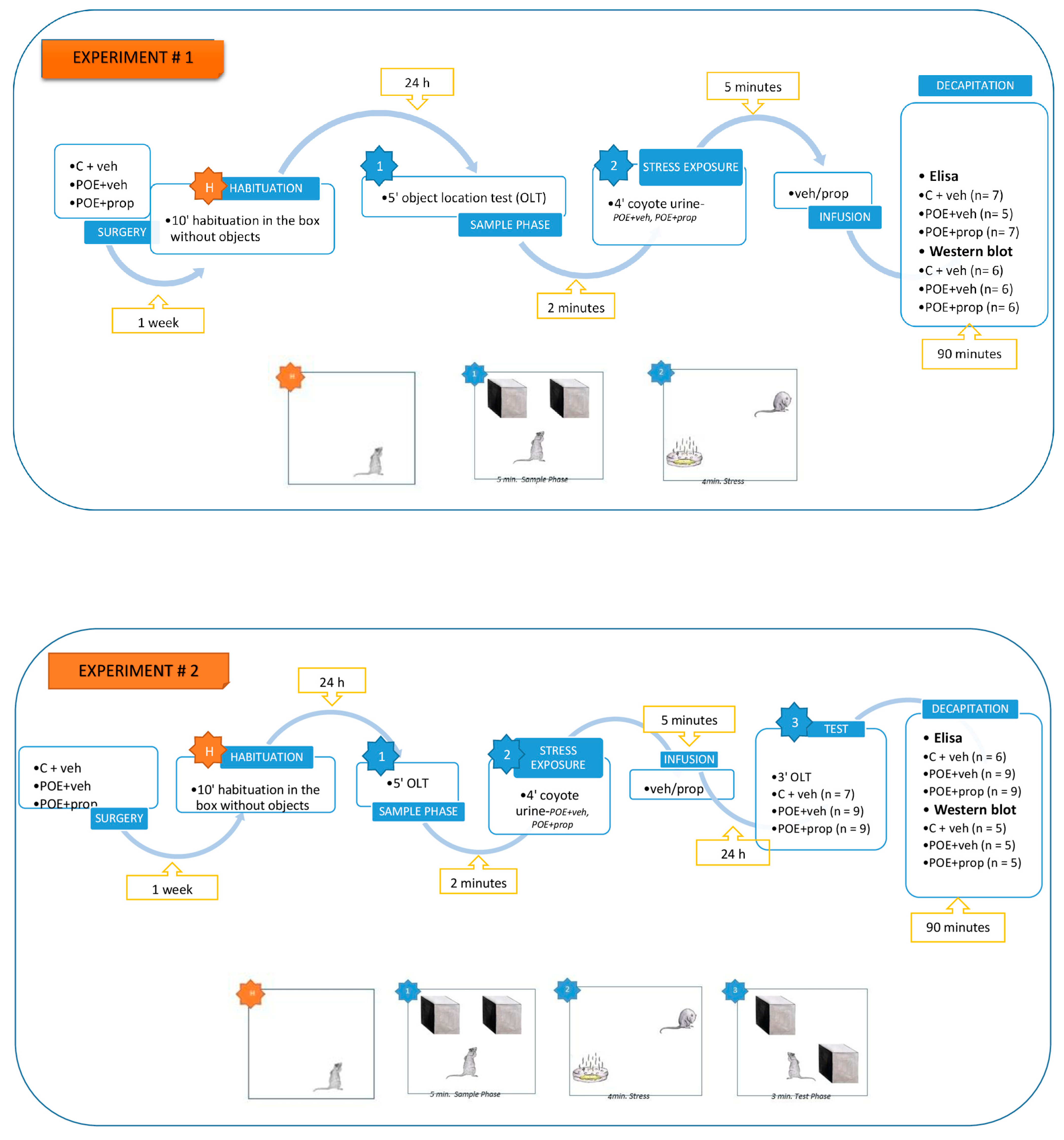 Ijms 25 06576 sch001