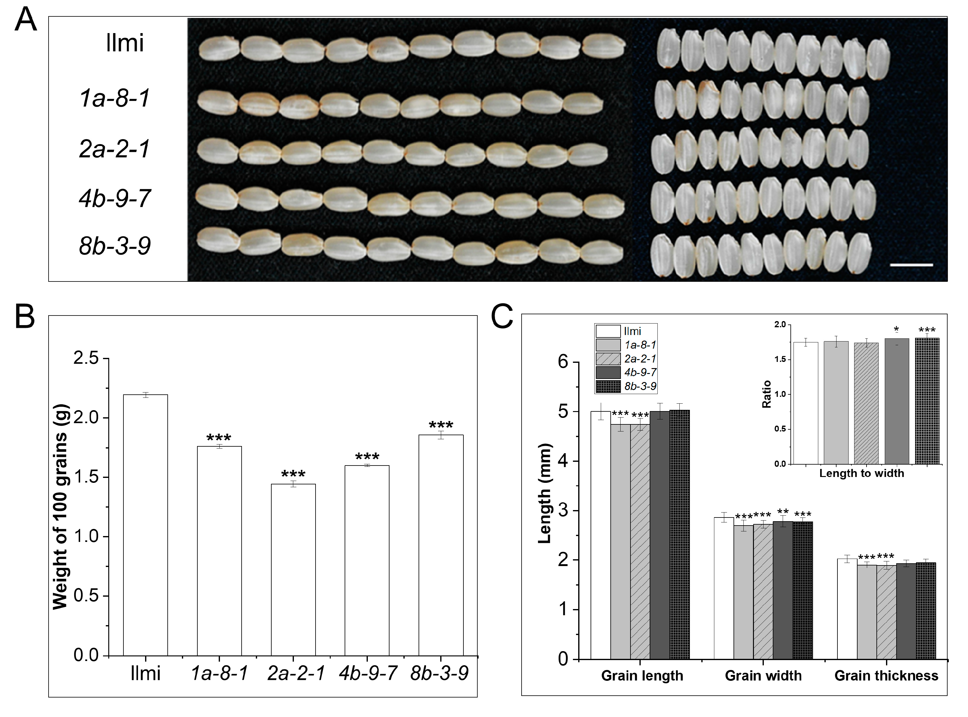 Ijms 25 06579 g003 Ijms 25 06579 g003