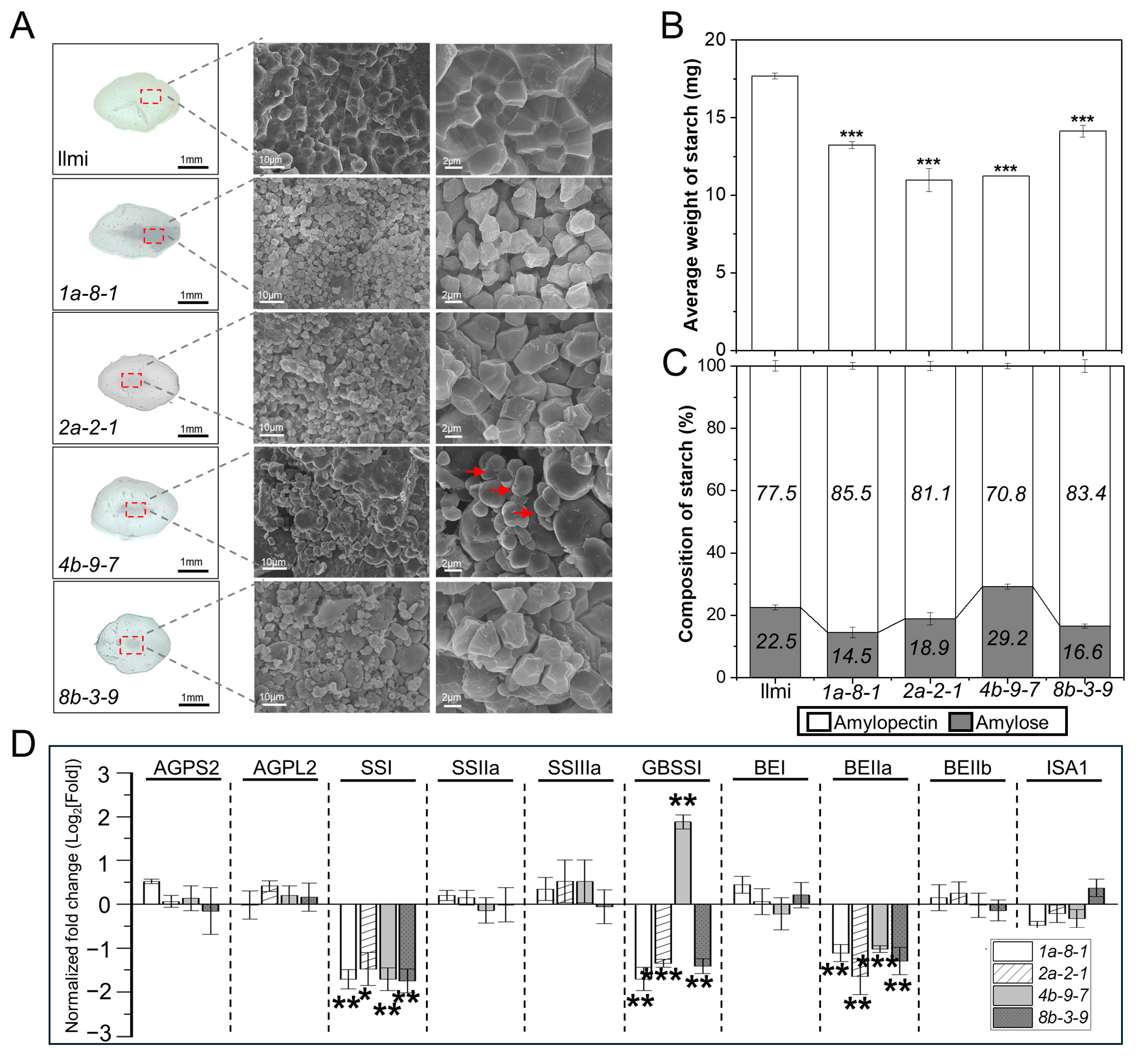 Ijms 25 06579 g004 Ijms 25 06579 g004