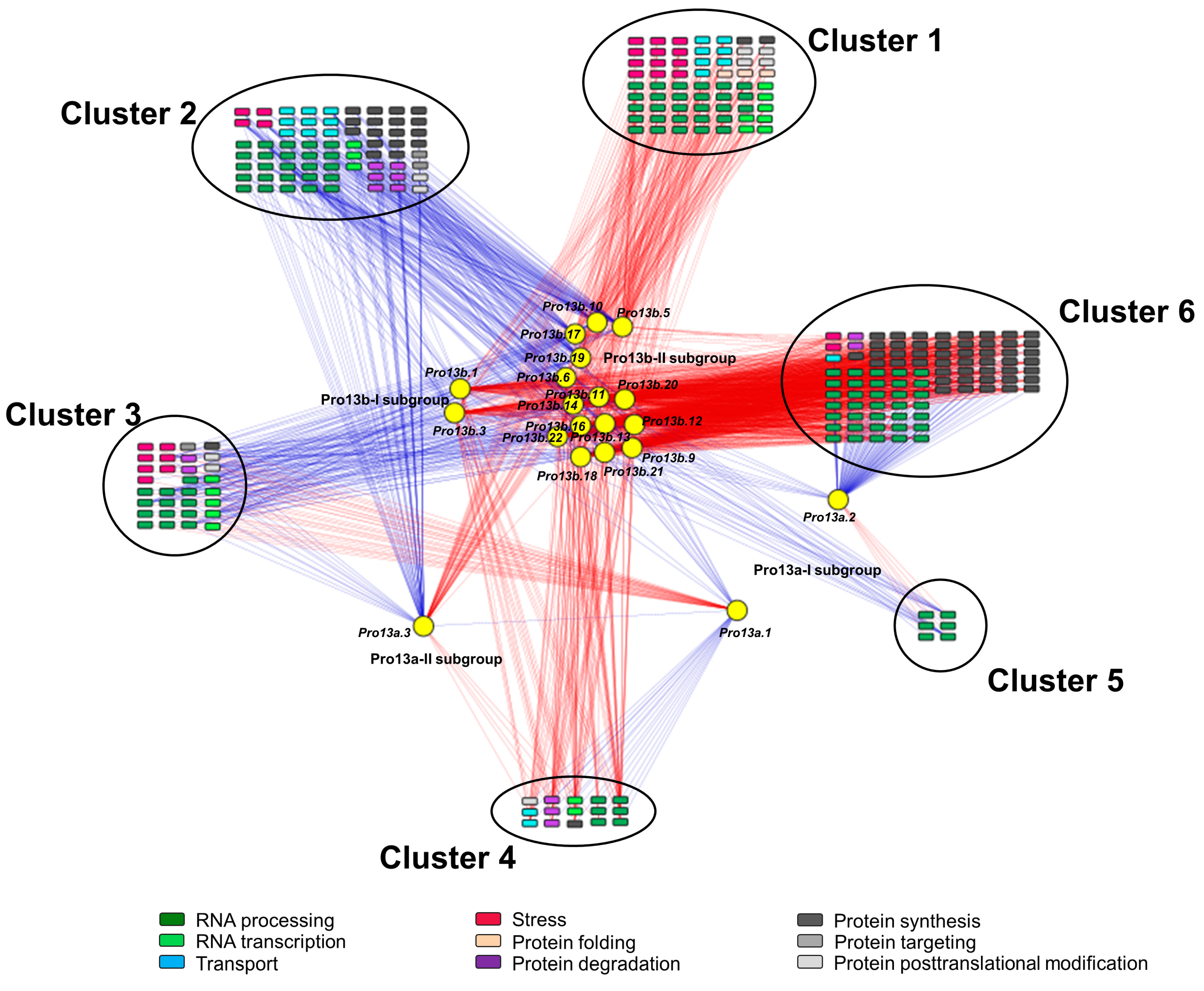 Ijms 25 06579 g007 Ijms 25 06579 g007