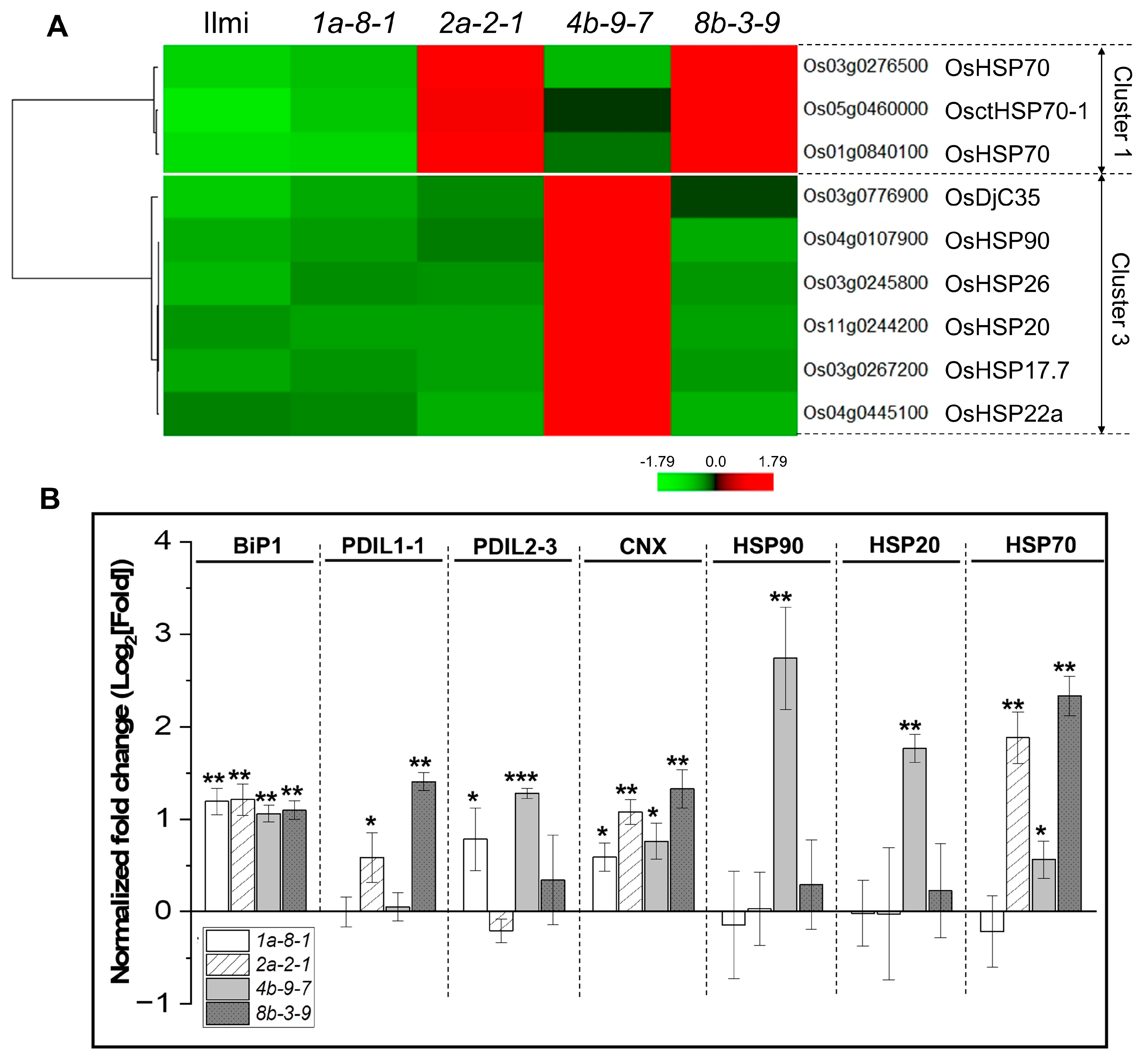 Ijms 25 06579 g008 Ijms 25 06579 g008