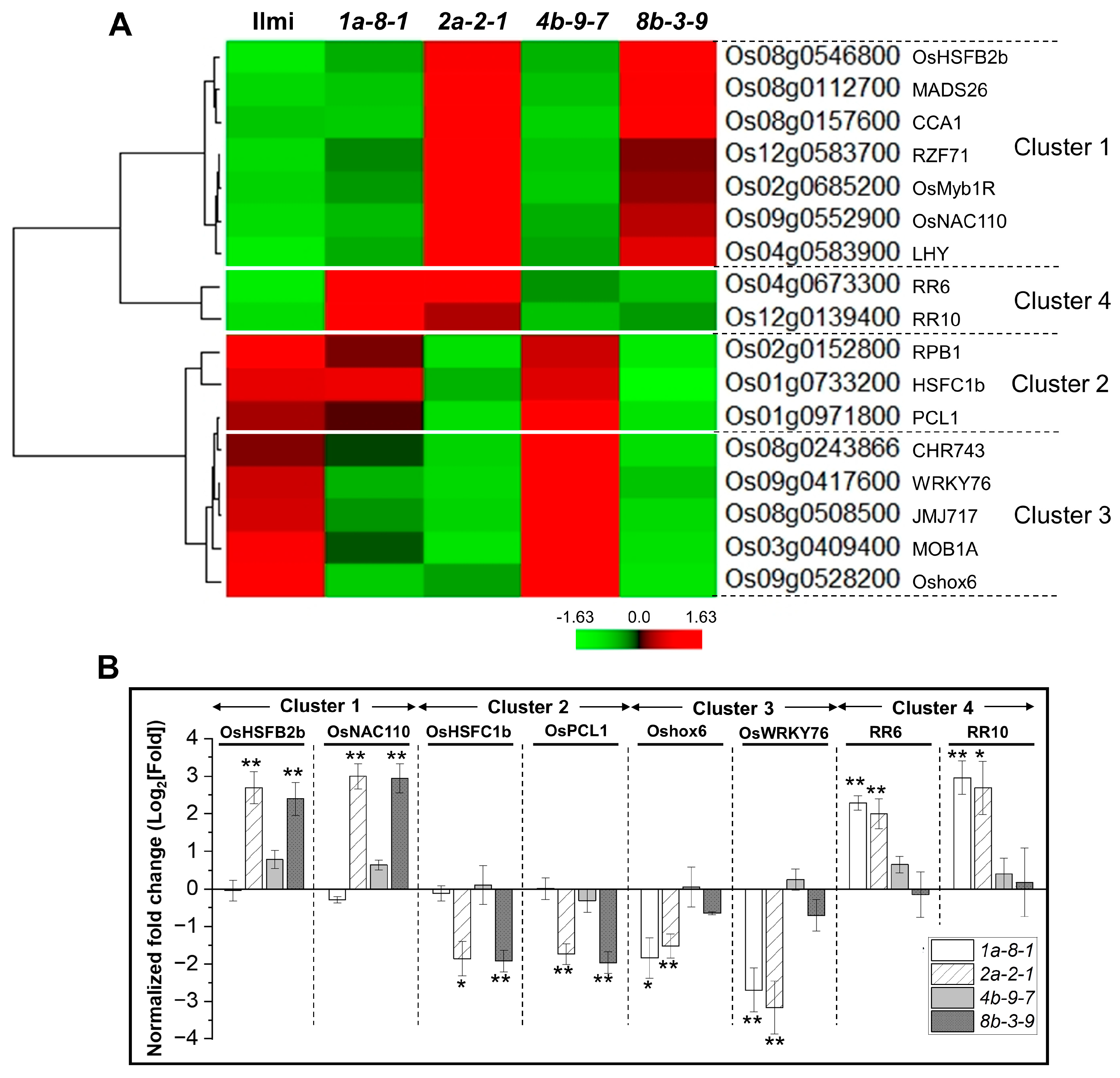 Ijms 25 06579 g009 Ijms 25 06579 g009