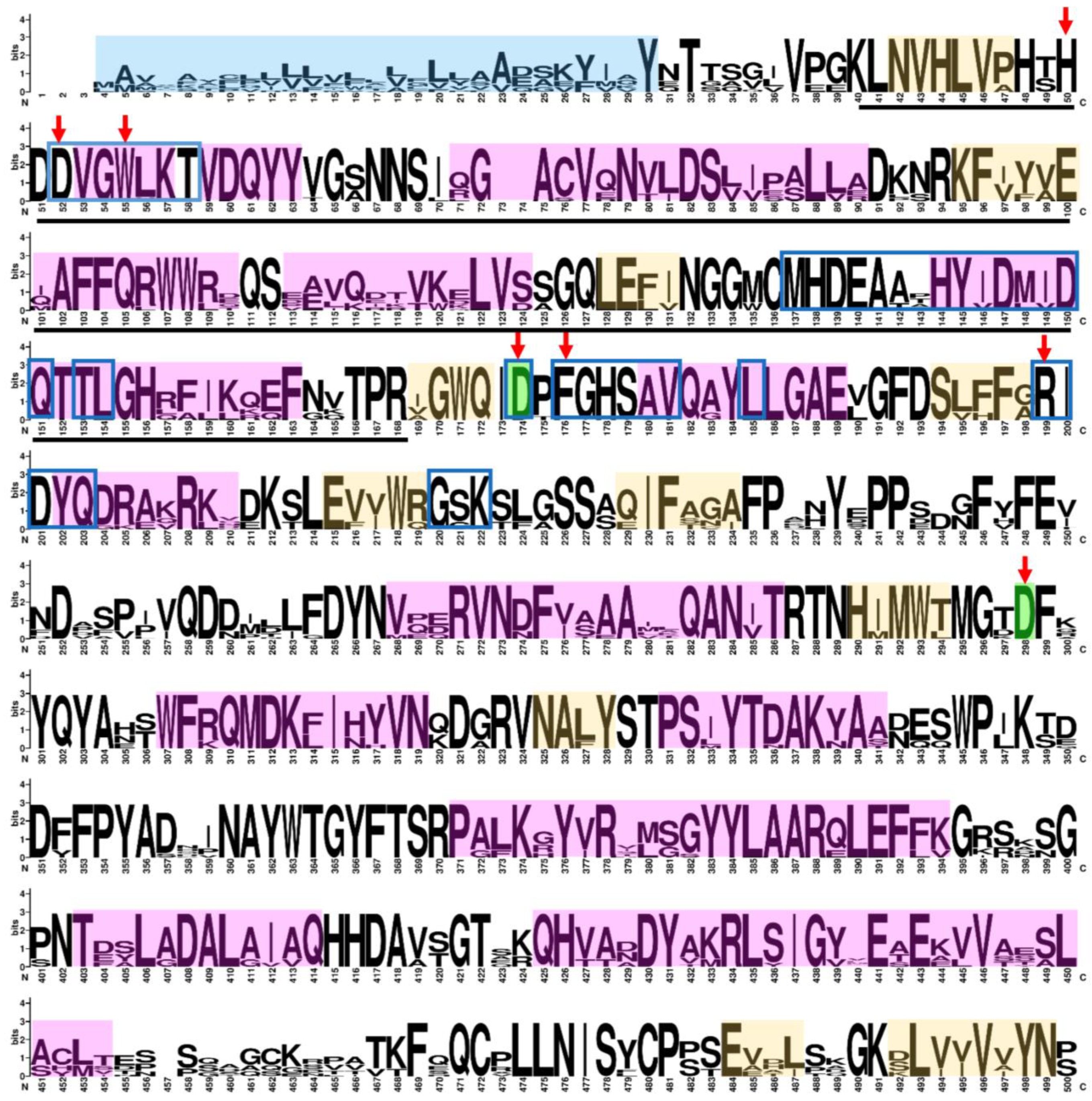 Ijms 25 06581 g001a Ijms 25 06581 g001a