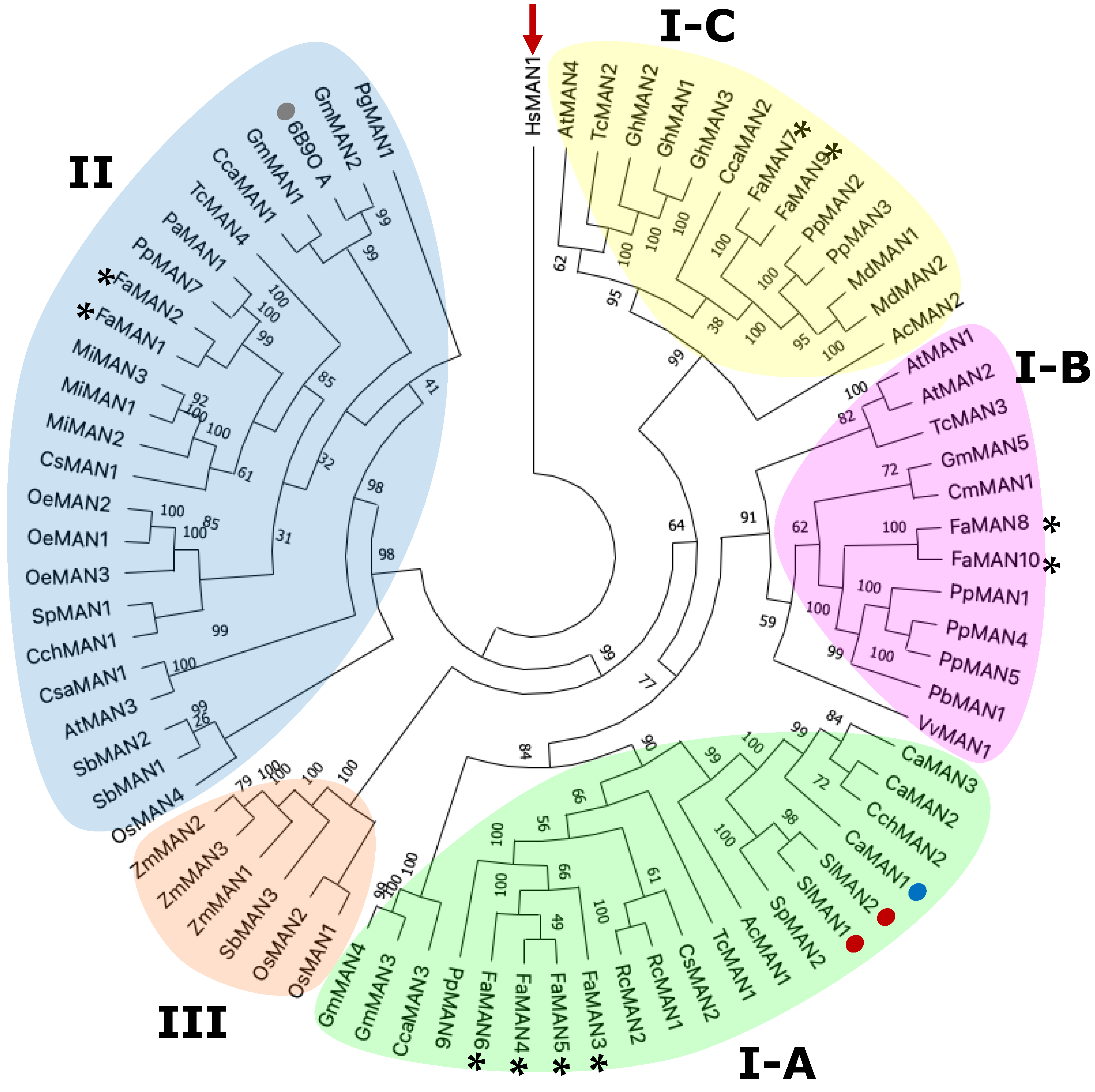 Ijms 25 06581 g002 Ijms 25 06581 g002