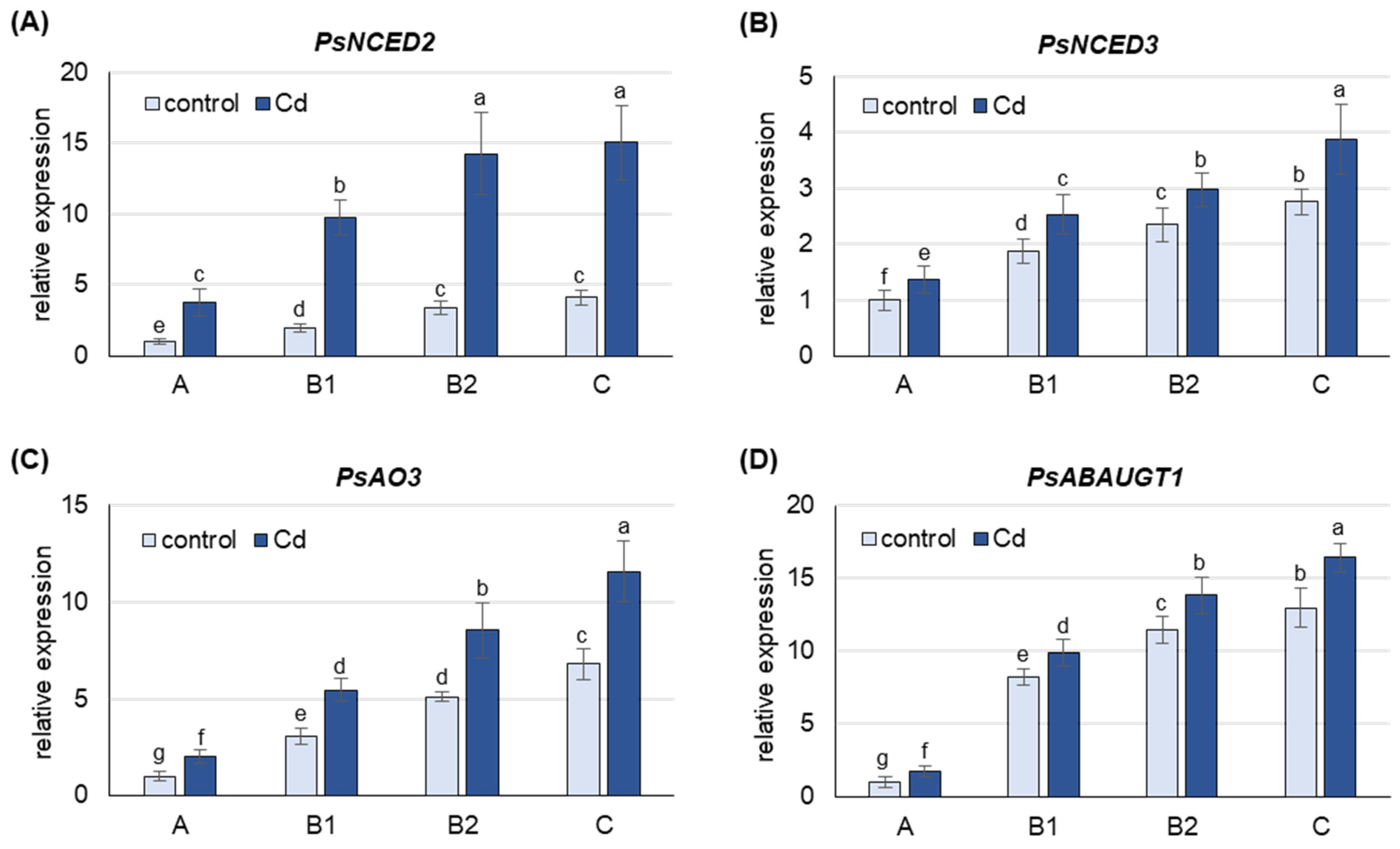 Ijms 25 06582 g002 Ijms 25 06582 g002