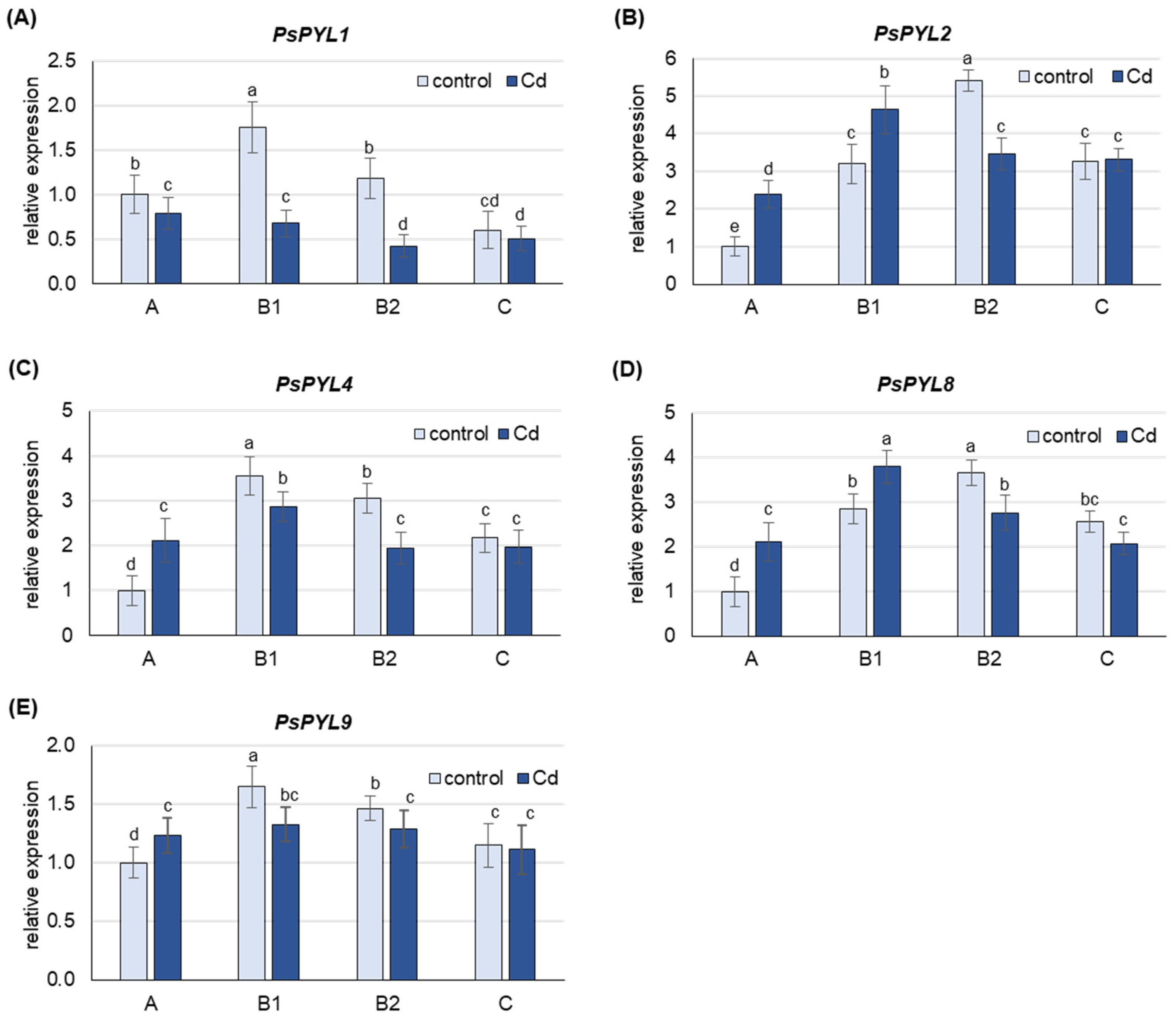 Ijms 25 06582 g005 Ijms 25 06582 g005