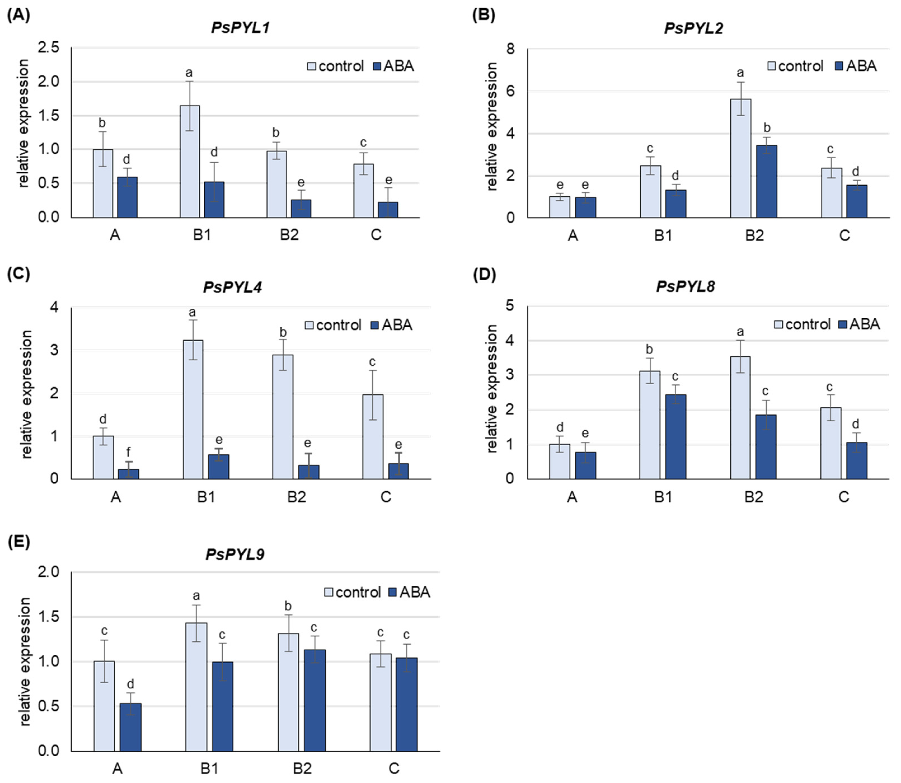 Ijms 25 06582 g006 Ijms 25 06582 g006
