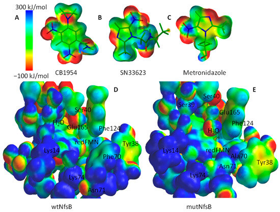 Structural Evaluation of a Nitroreductase Engineered for Improved