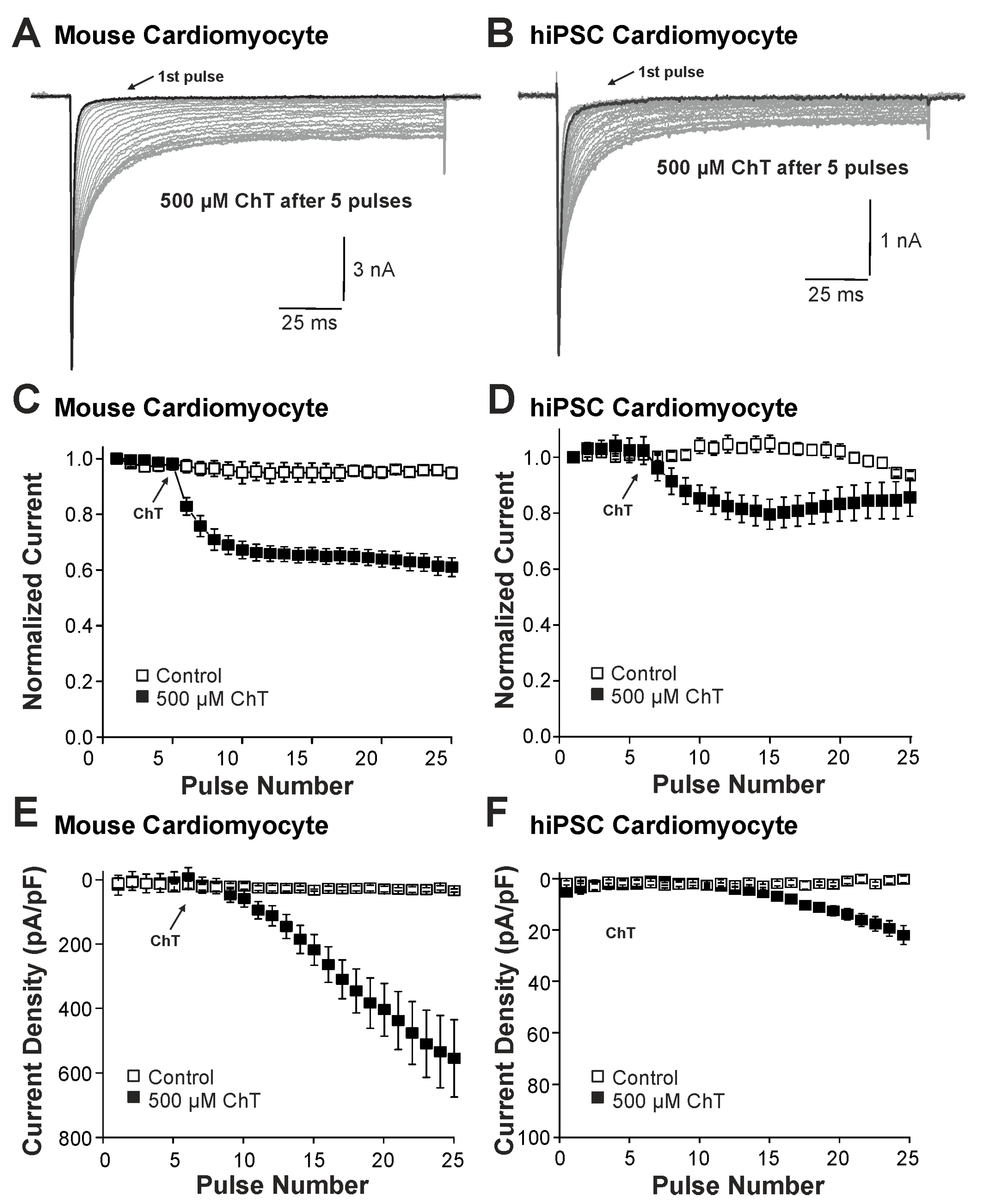 Ijms 25 06596 g001 Ijms 25 06596 g001