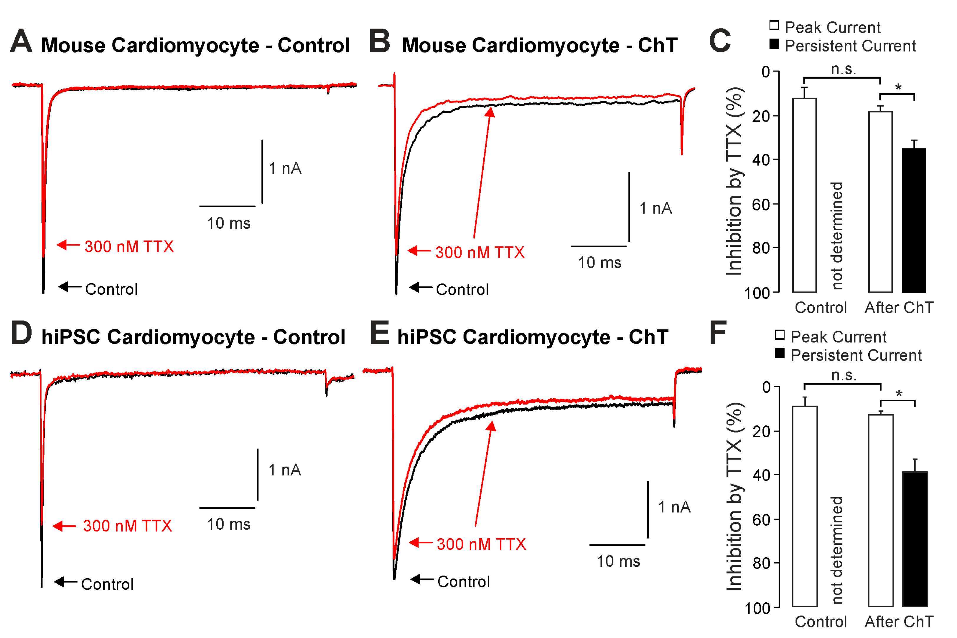 Ijms 25 06596 g002 Ijms 25 06596 g002