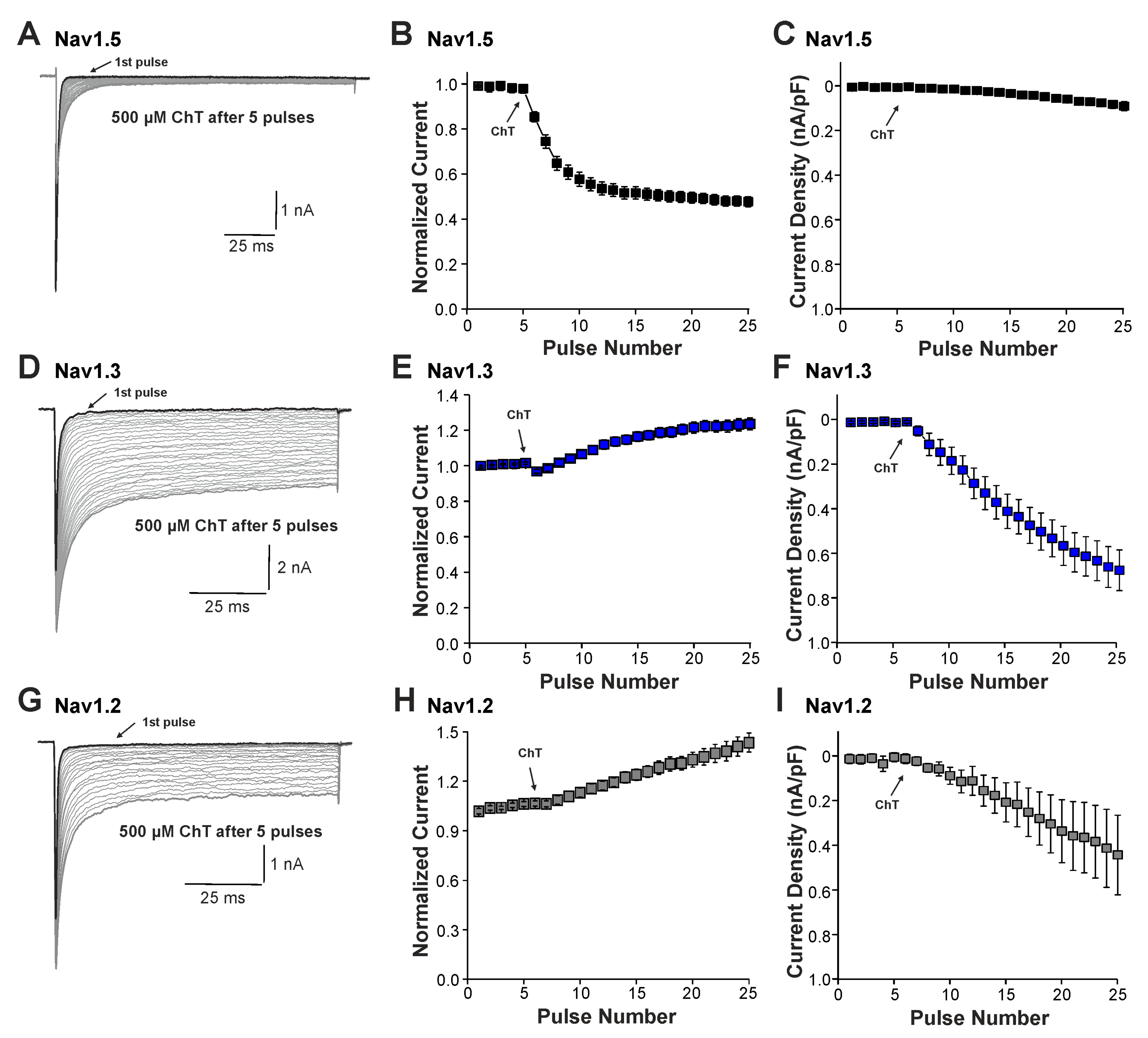 Ijms 25 06596 g003 Ijms 25 06596 g003