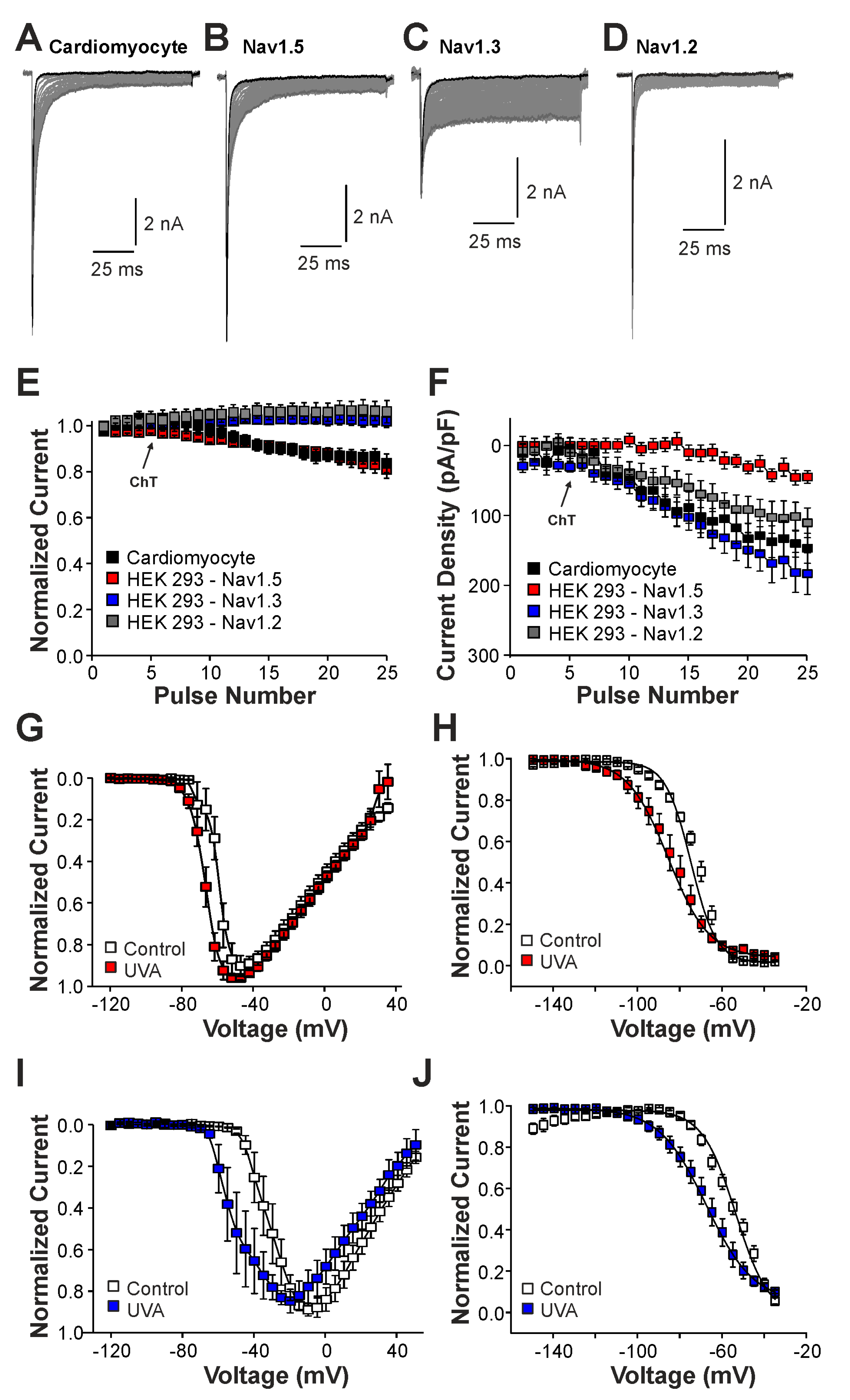 Ijms 25 06596 g005 Ijms 25 06596 g005