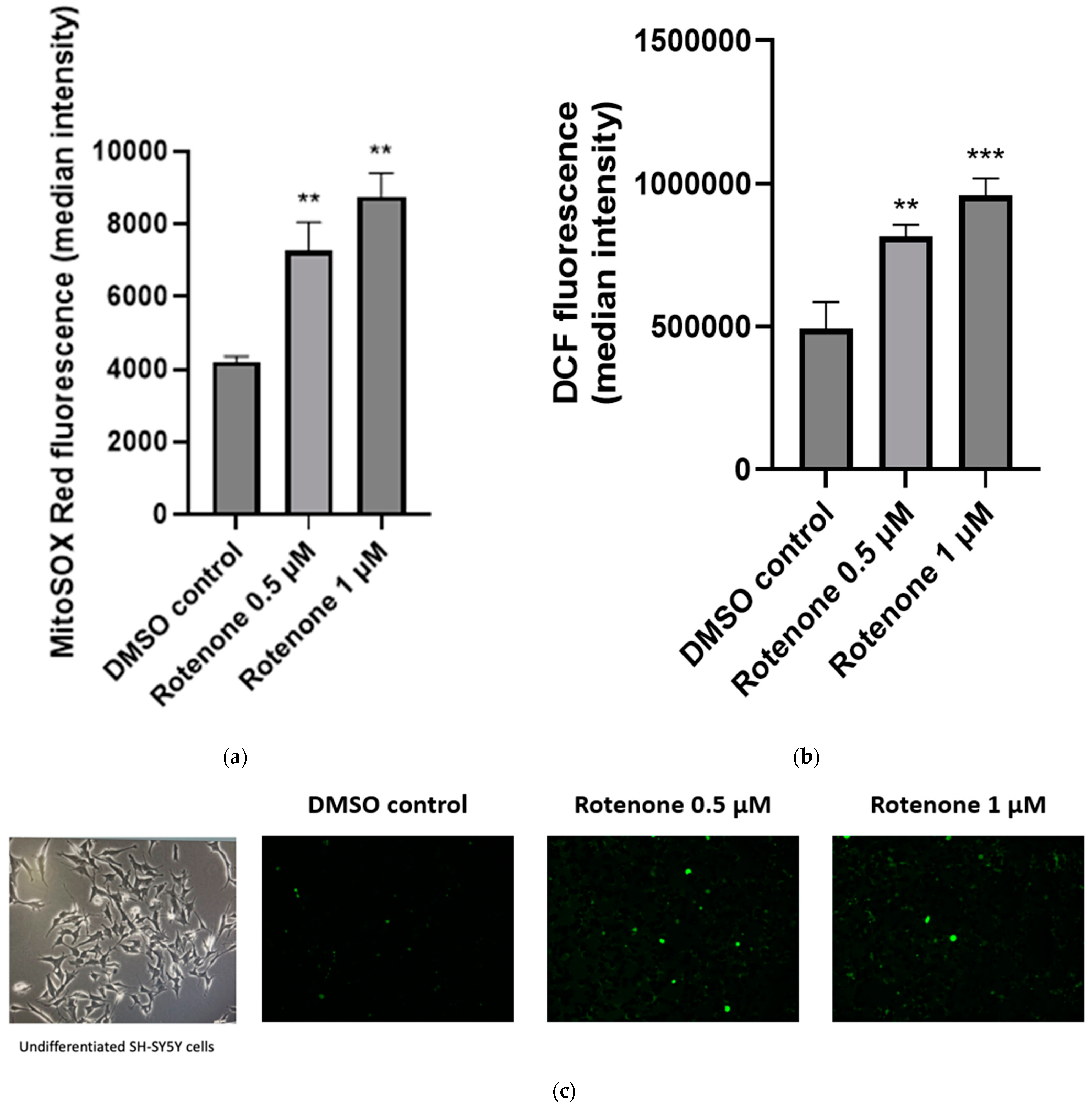 Ijms 25 06622 g003a Ijms 25 06622 g003a