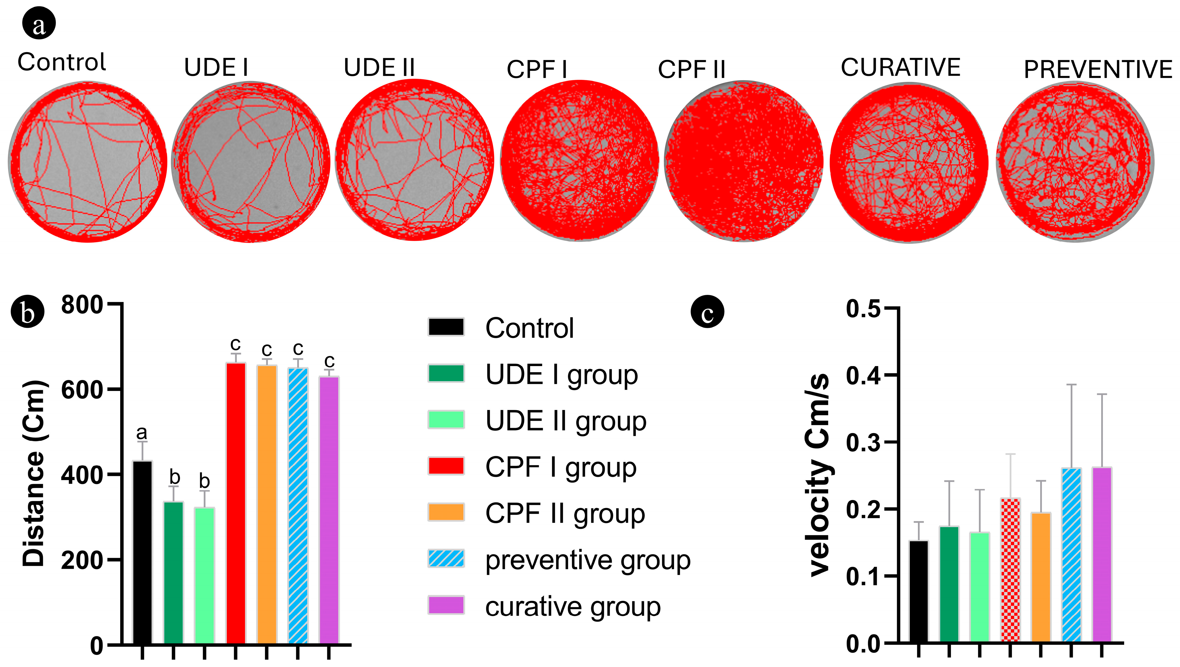 Ijms 25 06631 g007 Ijms 25 06631 g007