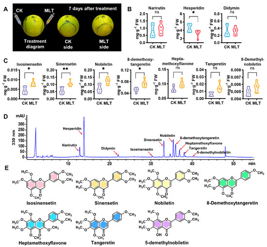 Integrated Metabolomic–Transcriptomic Analyses of Flavonoid