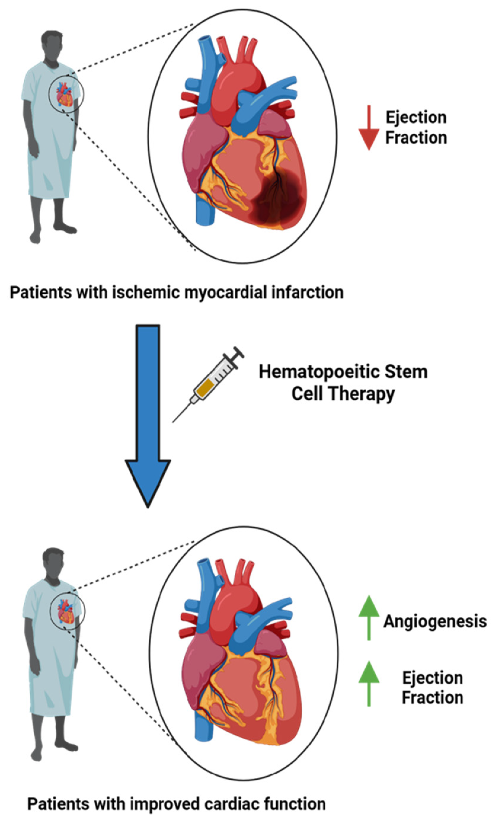 Ijms 25 06634 g001 Ijms 25 06634 g001