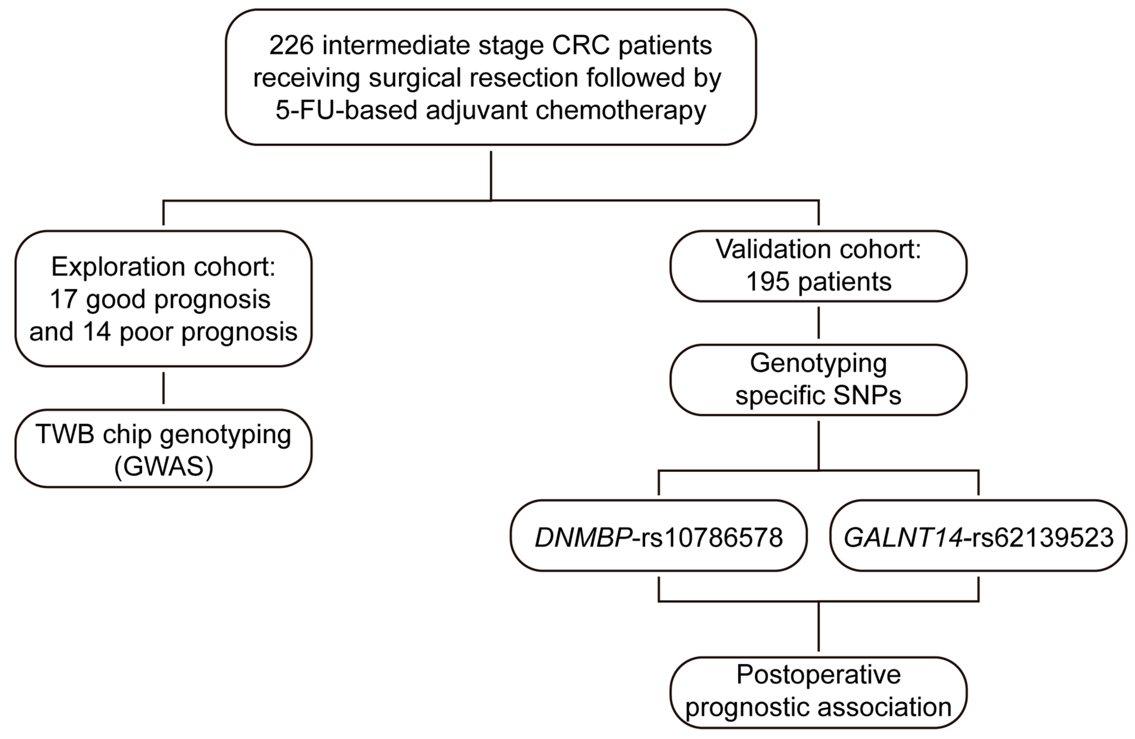 Ijms 25 06642 g001 Ijms 25 06642 g001