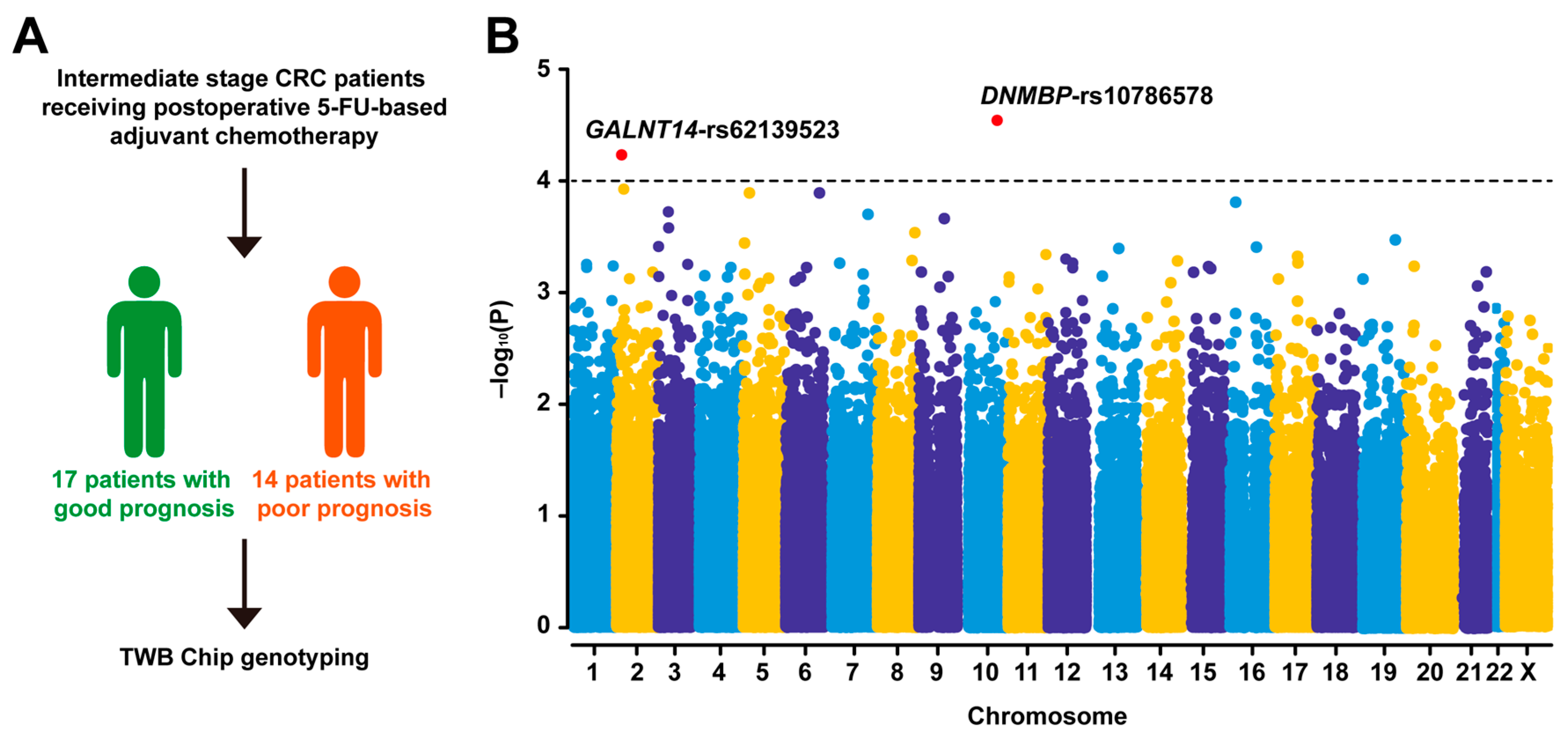 Ijms 25 06642 g002 Ijms 25 06642 g002