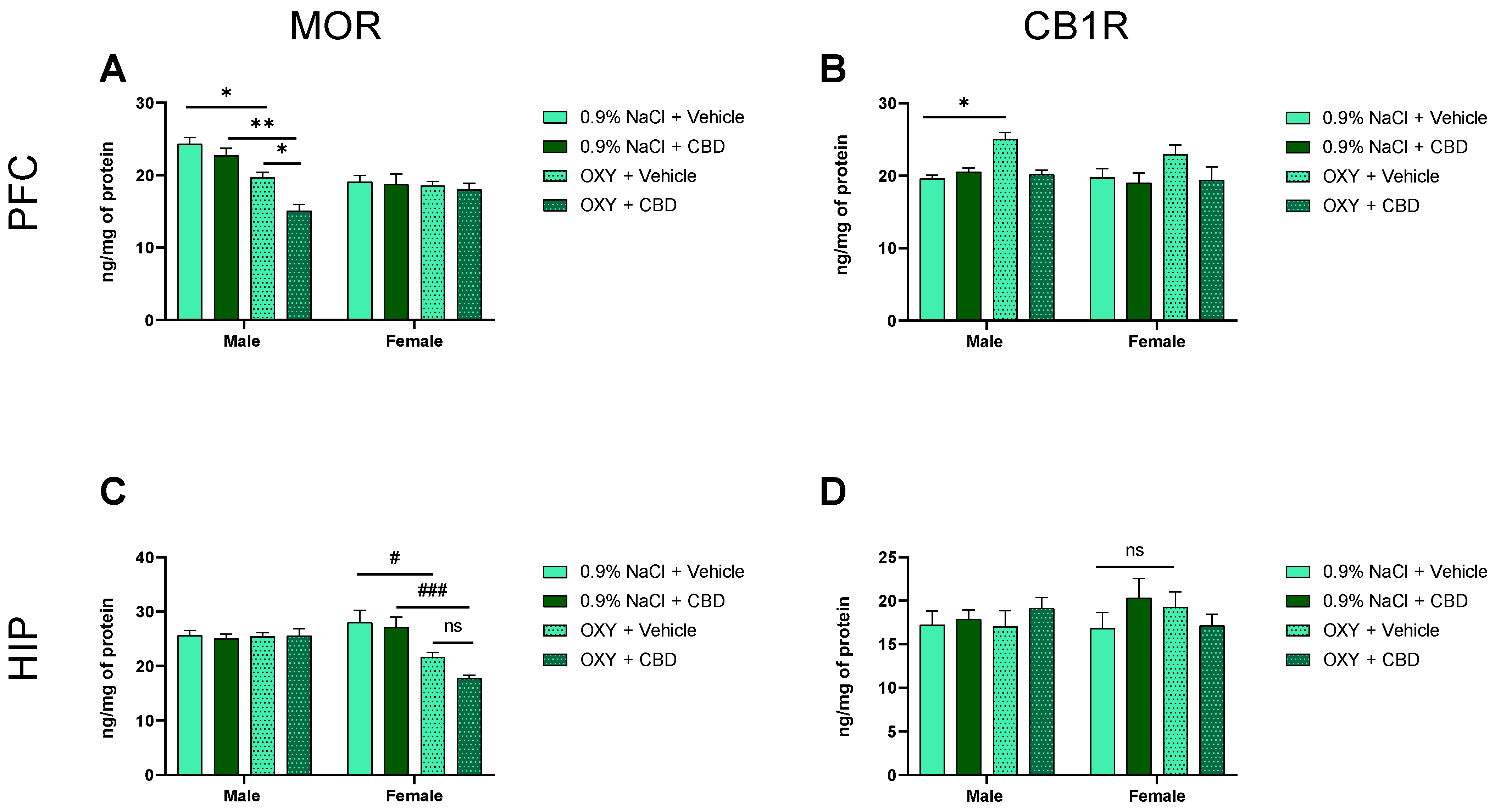 Ijms 25 06651 g004 Ijms 25 06651 g004