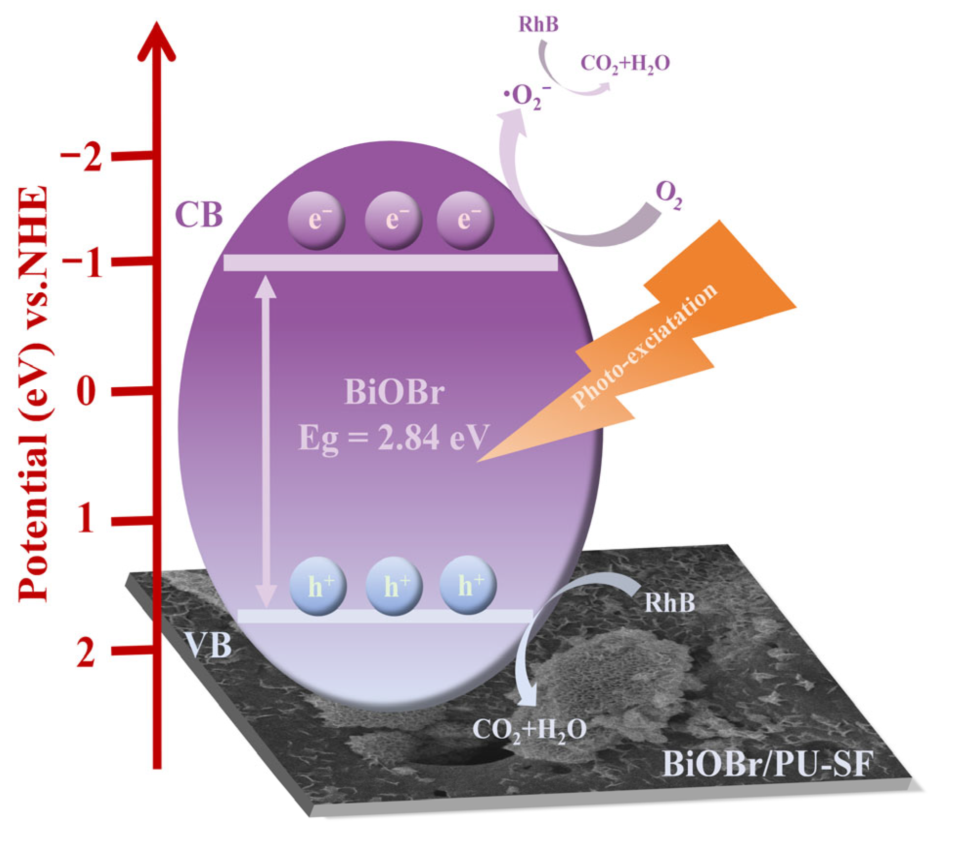 Ijms 25 06653 sch001