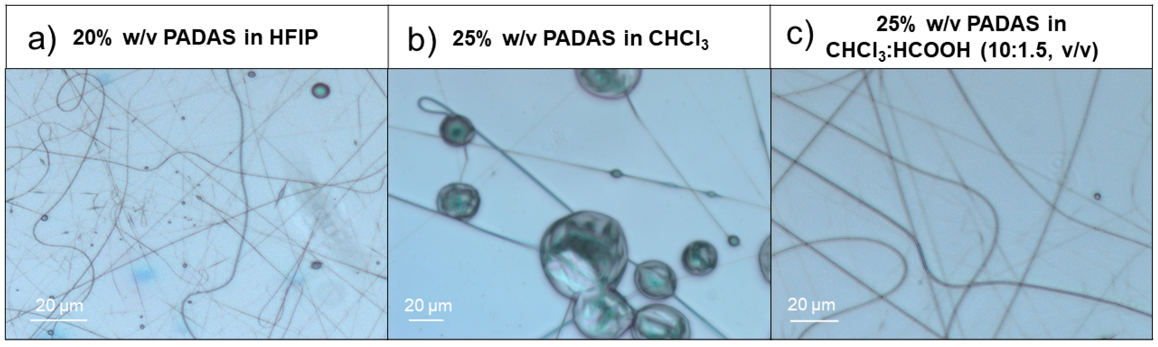 Ijms 25 06671 g001 Ijms 25 06671 g001