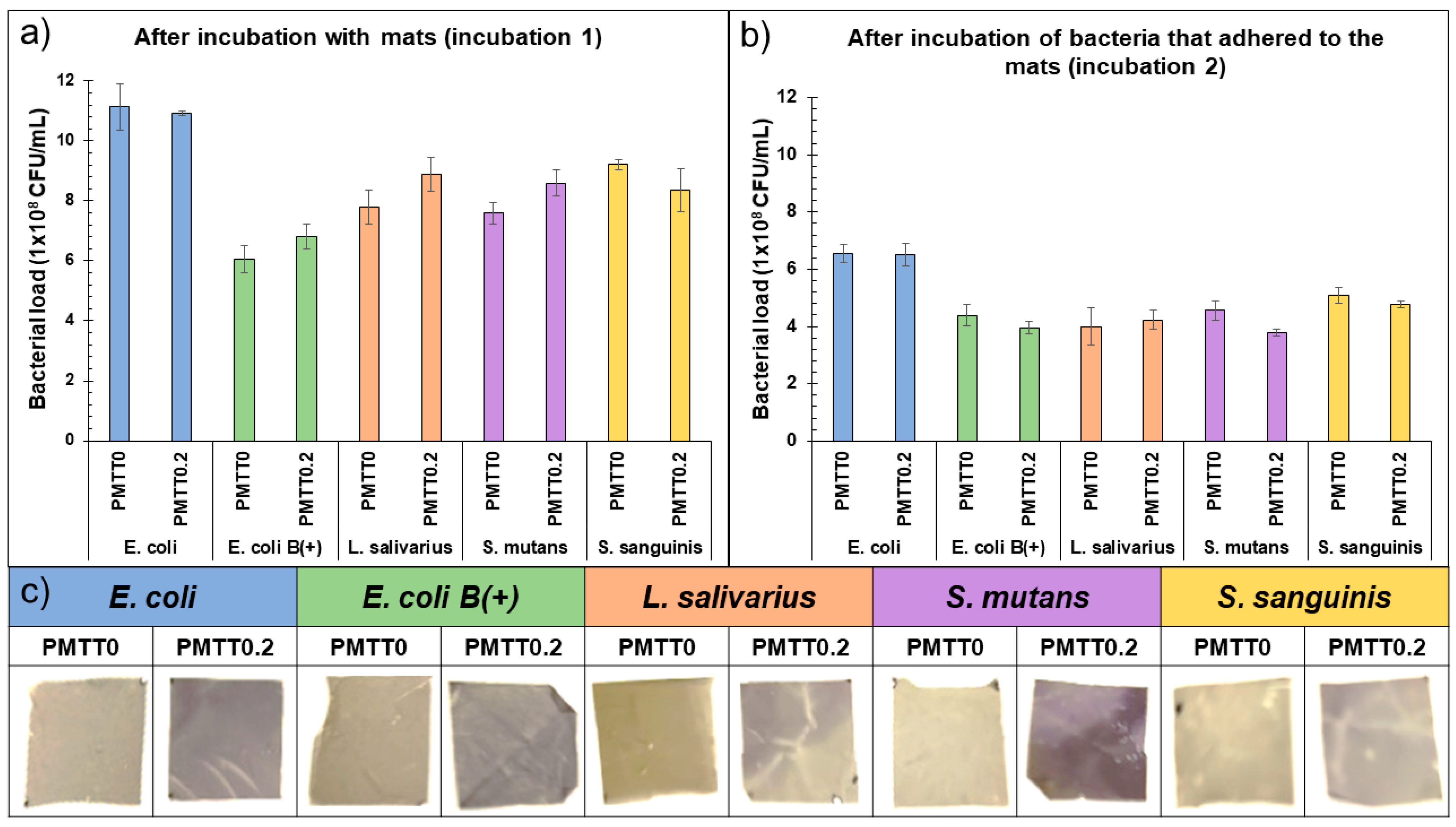 Ijms 25 06671 g009 Ijms 25 06671 g009