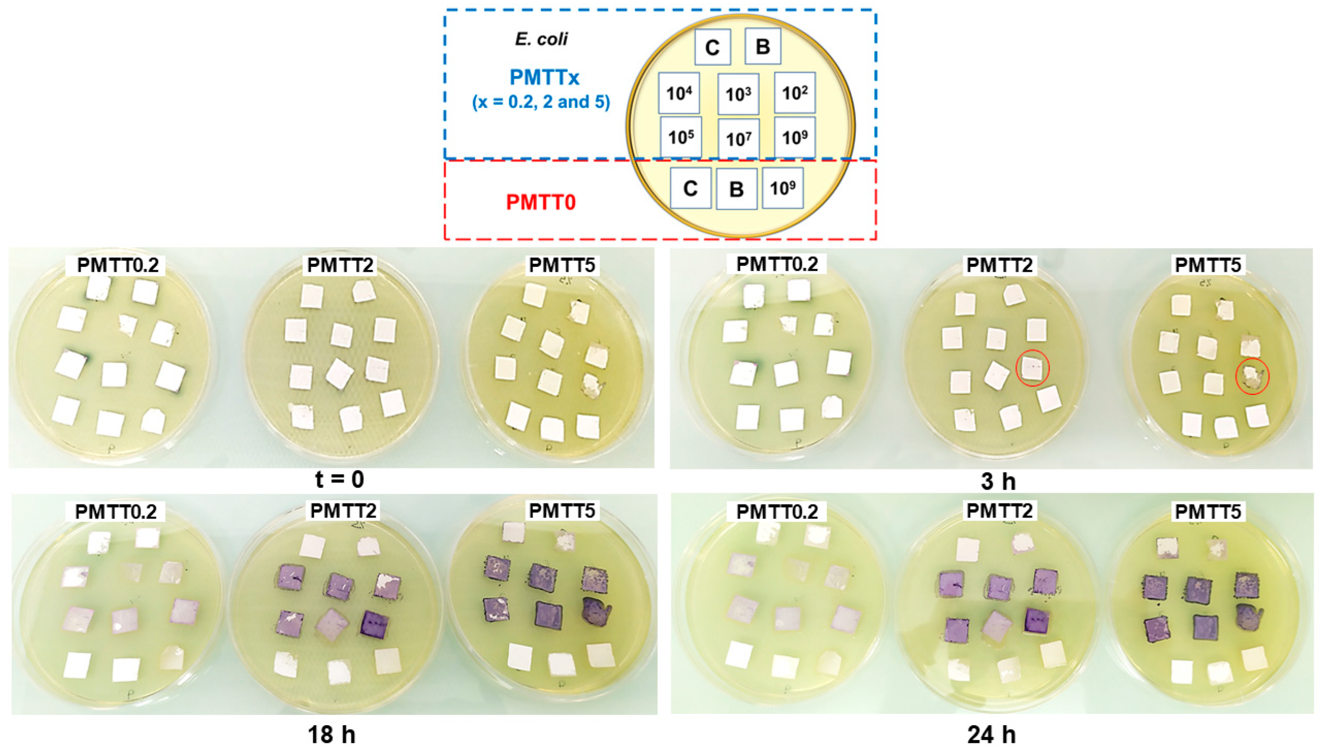 Ijms 25 06671 g010 Ijms 25 06671 g010