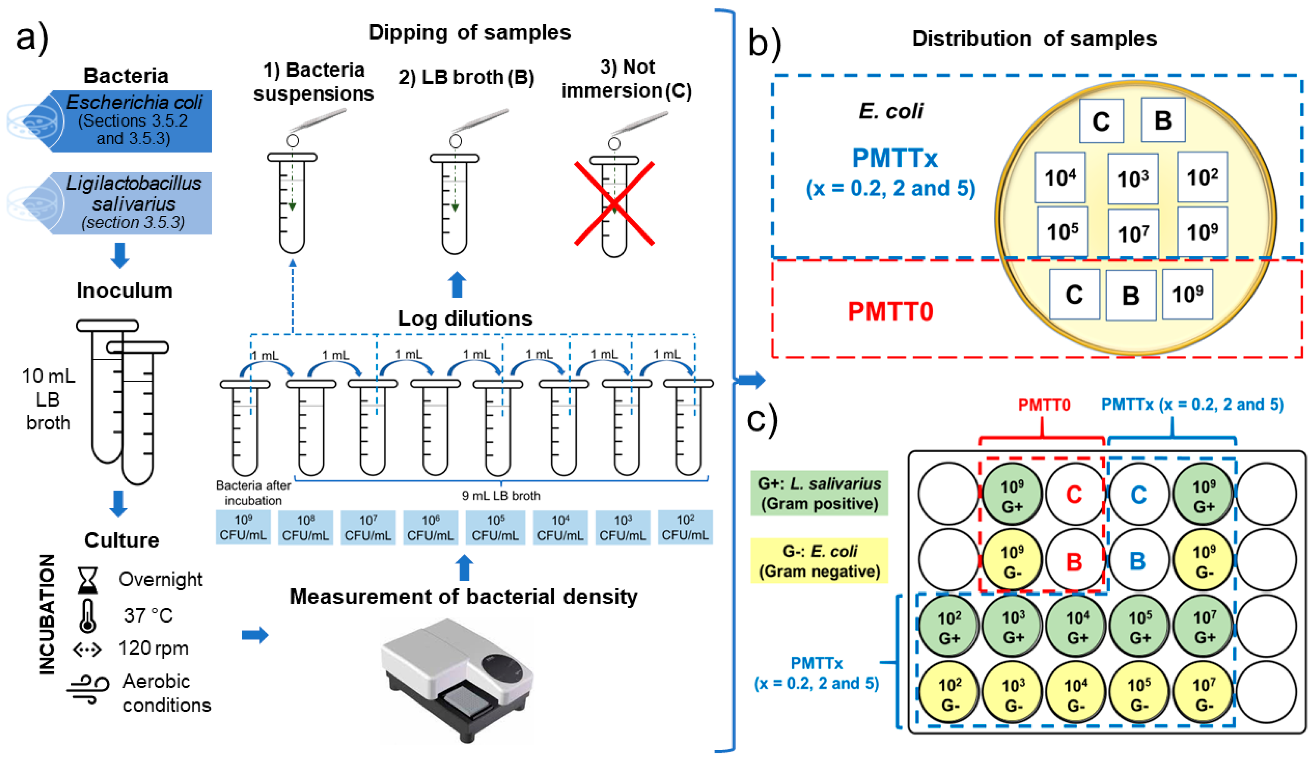 Ijms 25 06671 g014 Ijms 25 06671 g014