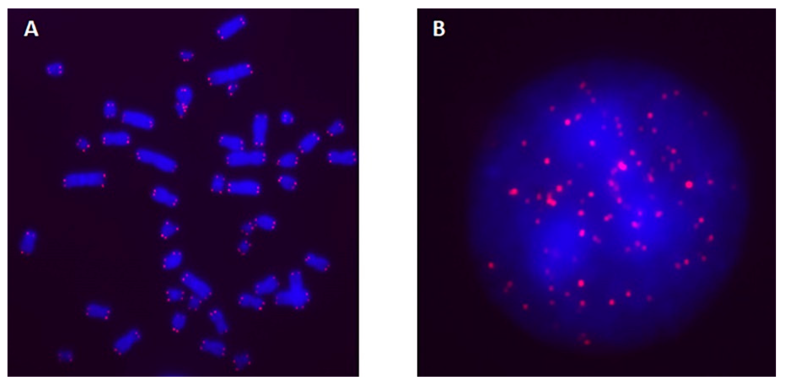 Ijms 25 06709 g001 Ijms 25 06709 g001